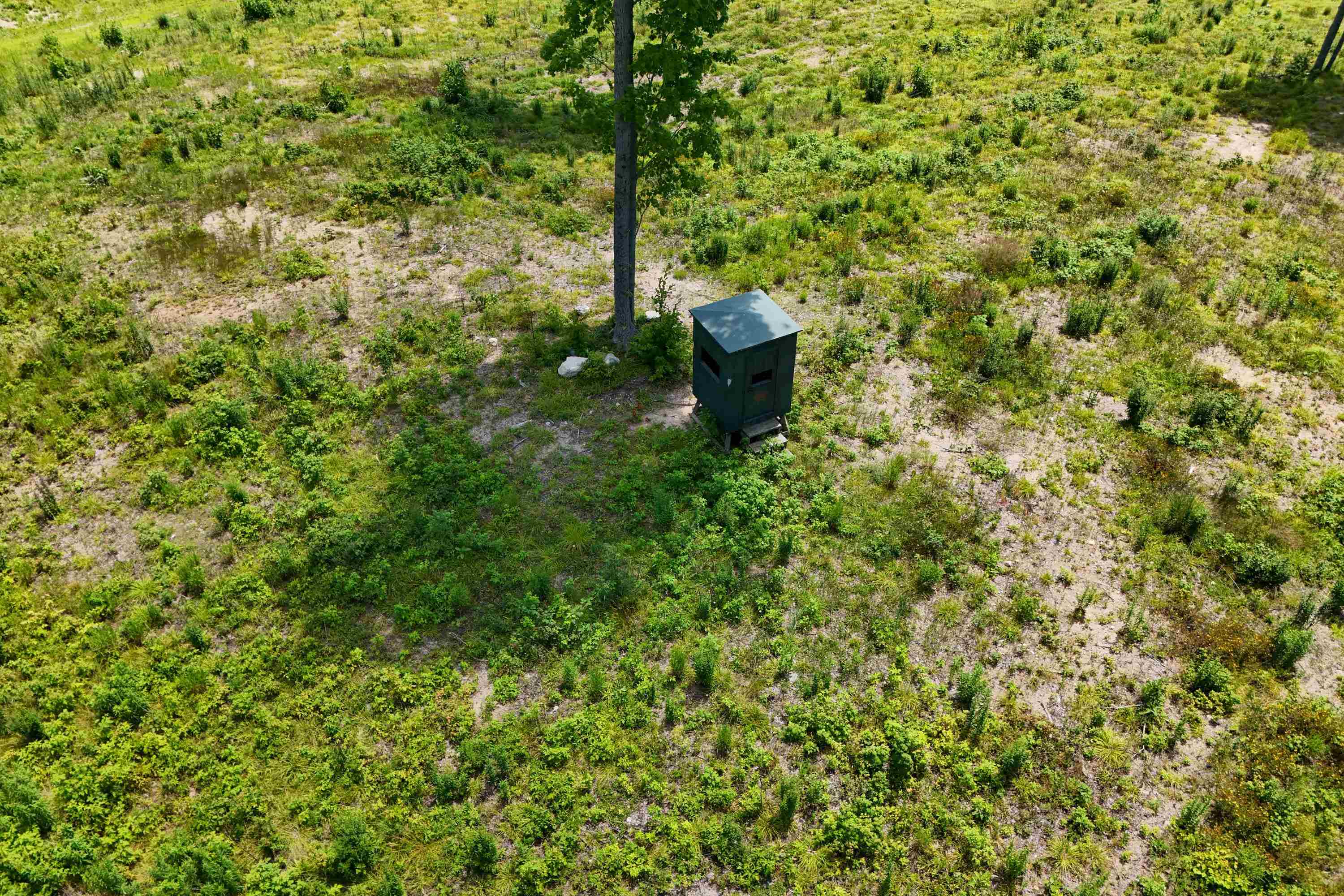 main property photo 67