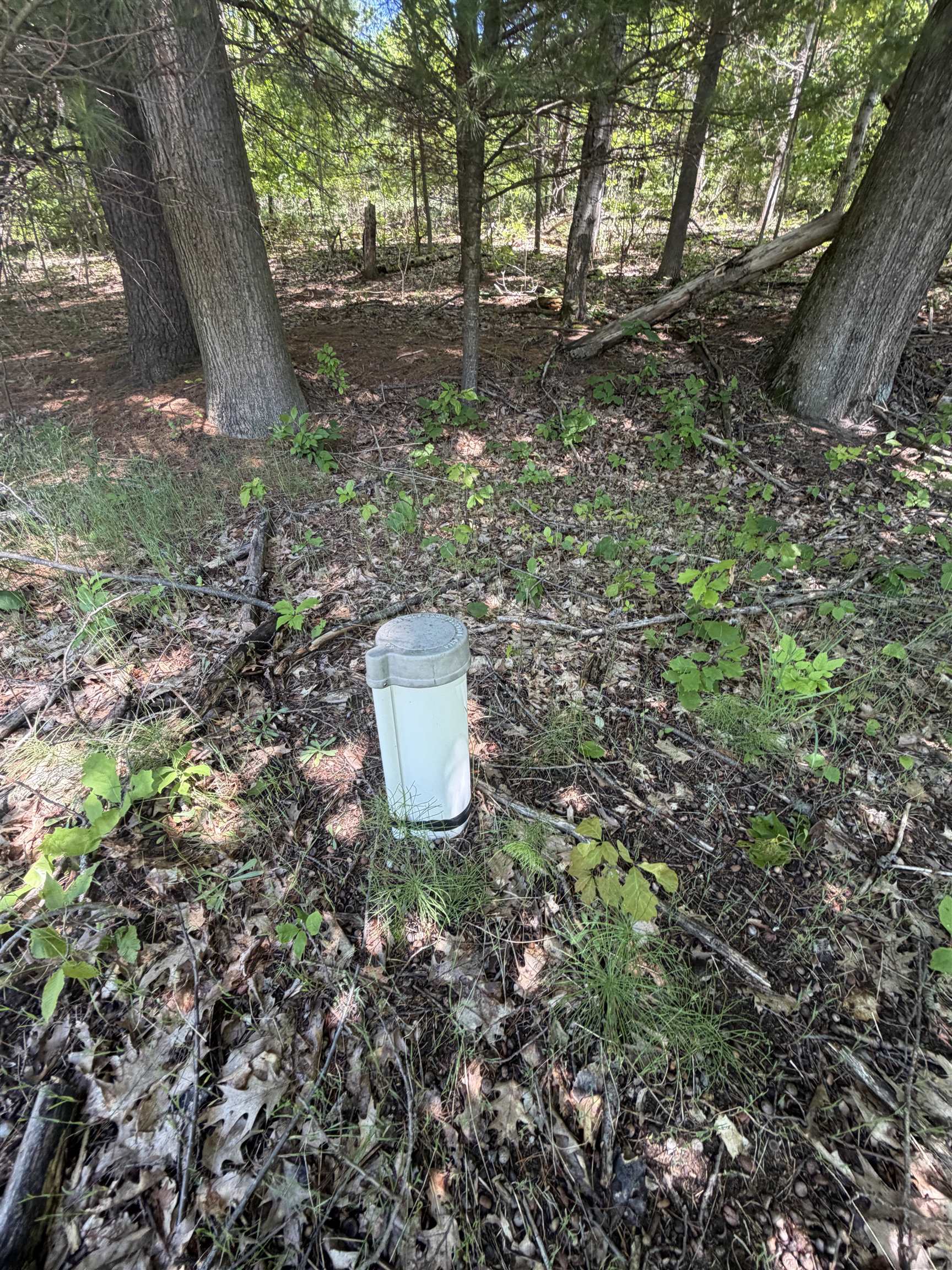 main property photo 35