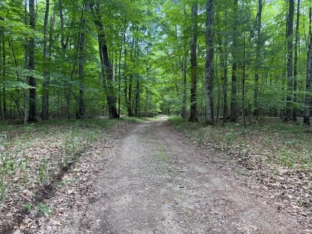 main property photo 55