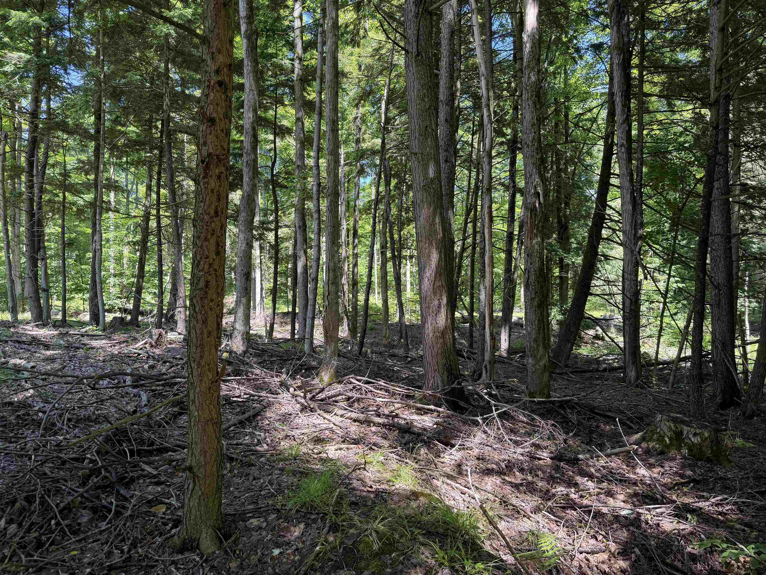 main property photo 20