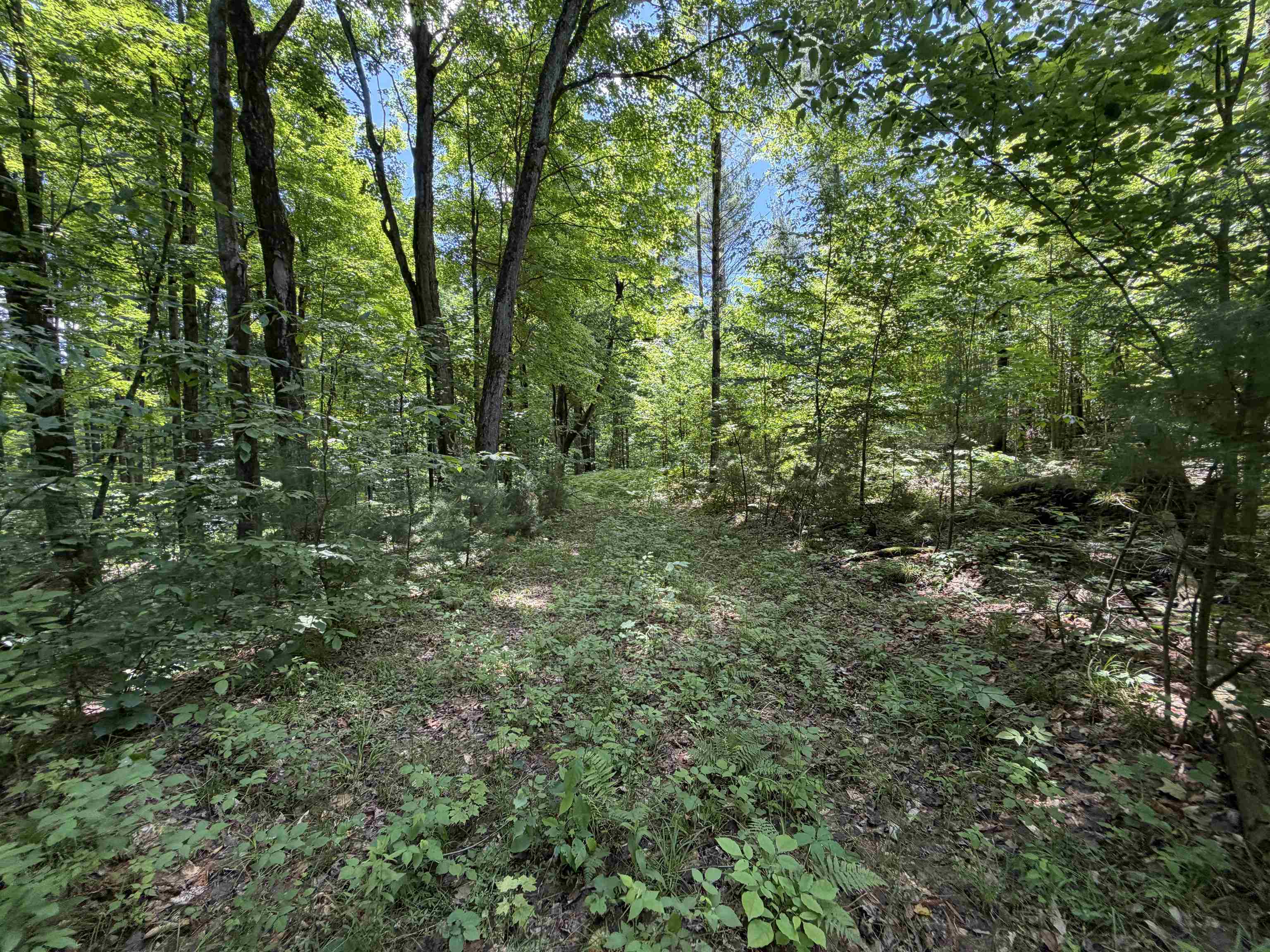 main property photo 34