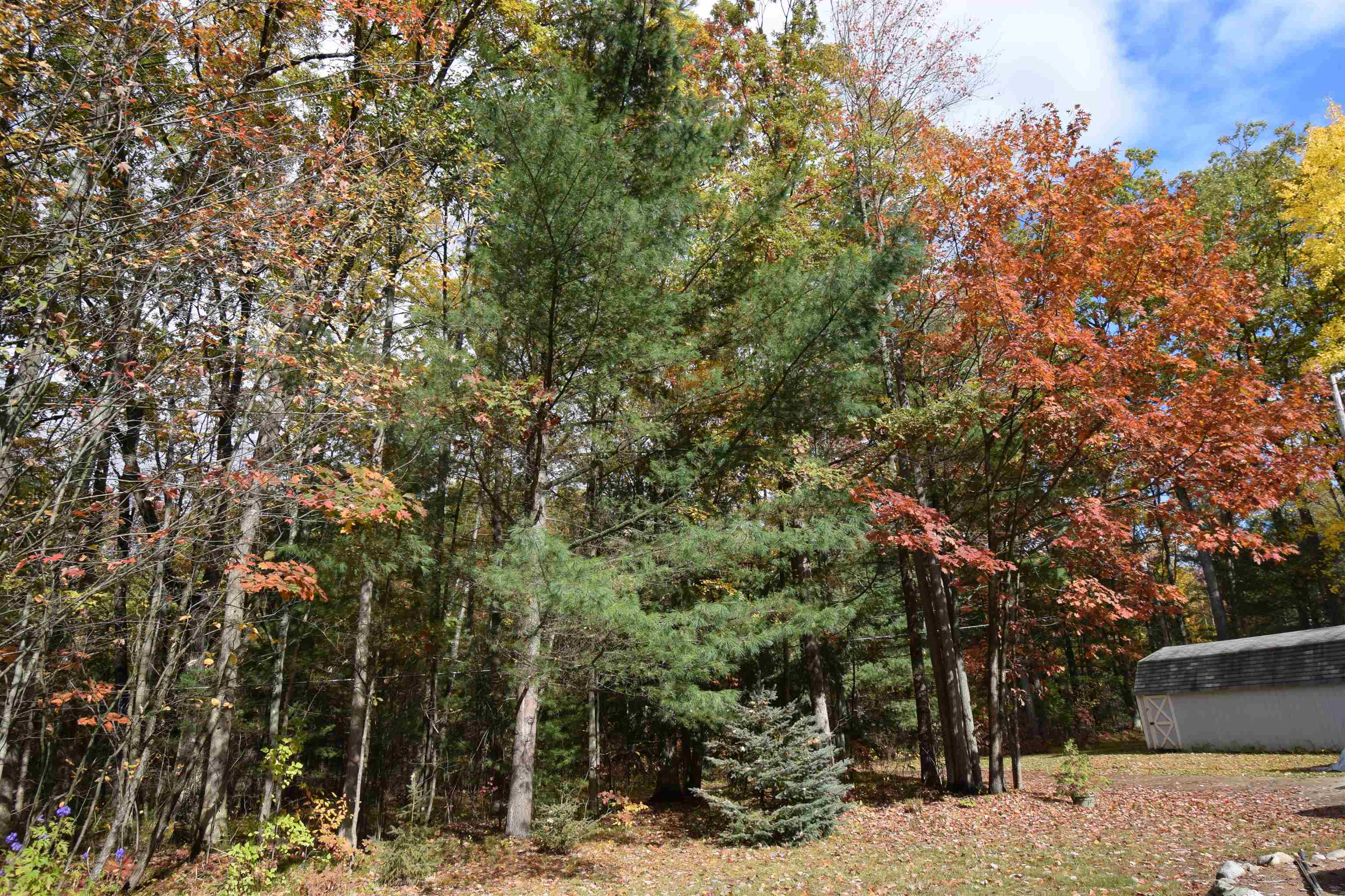 main property photo 75