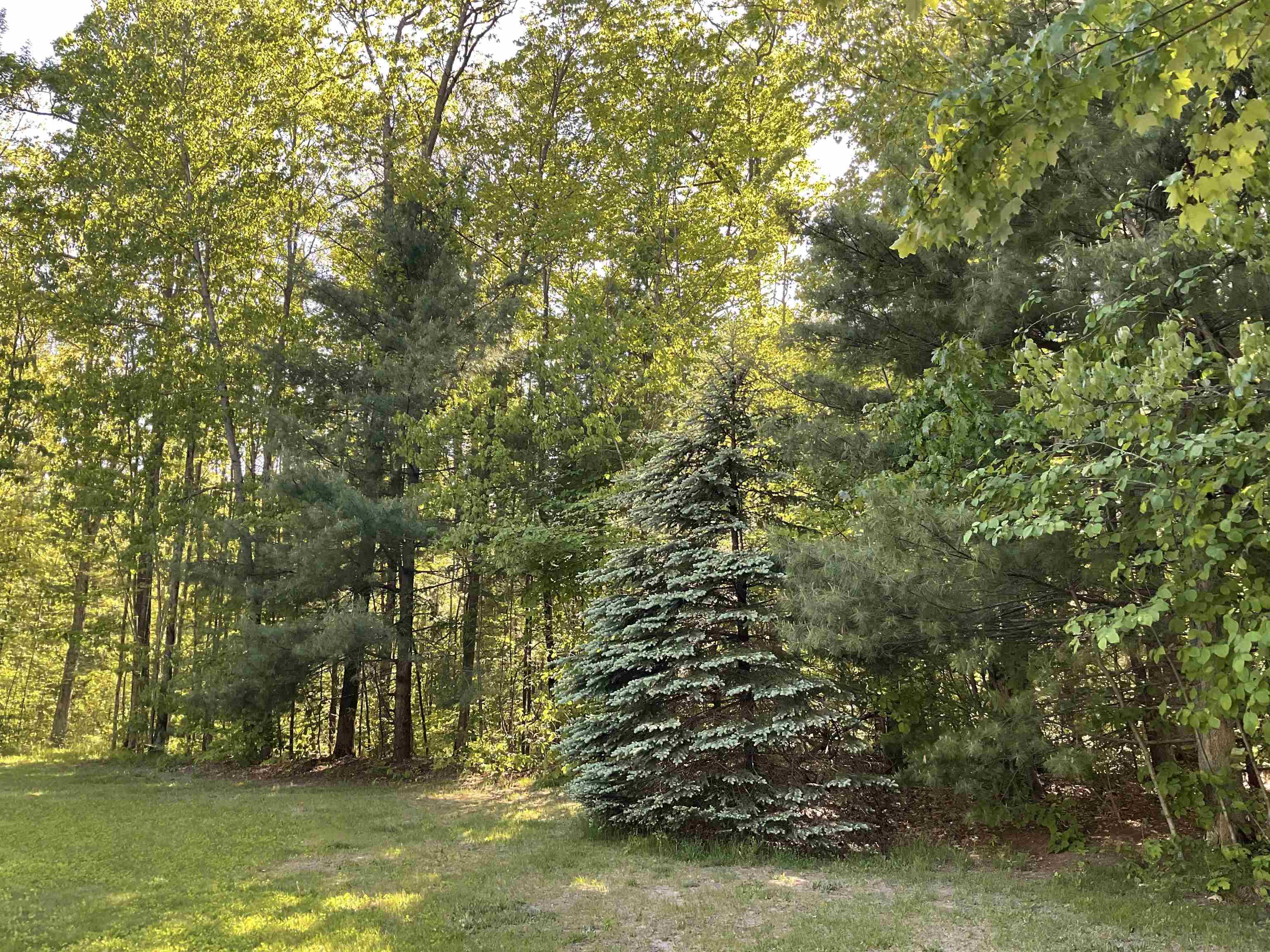 main property photo 79