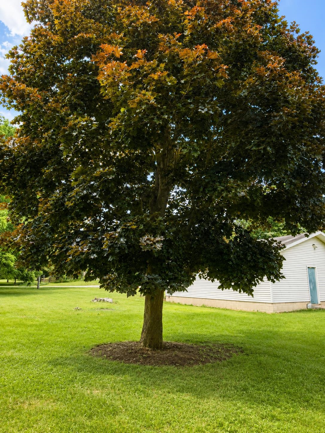 main property photo 32