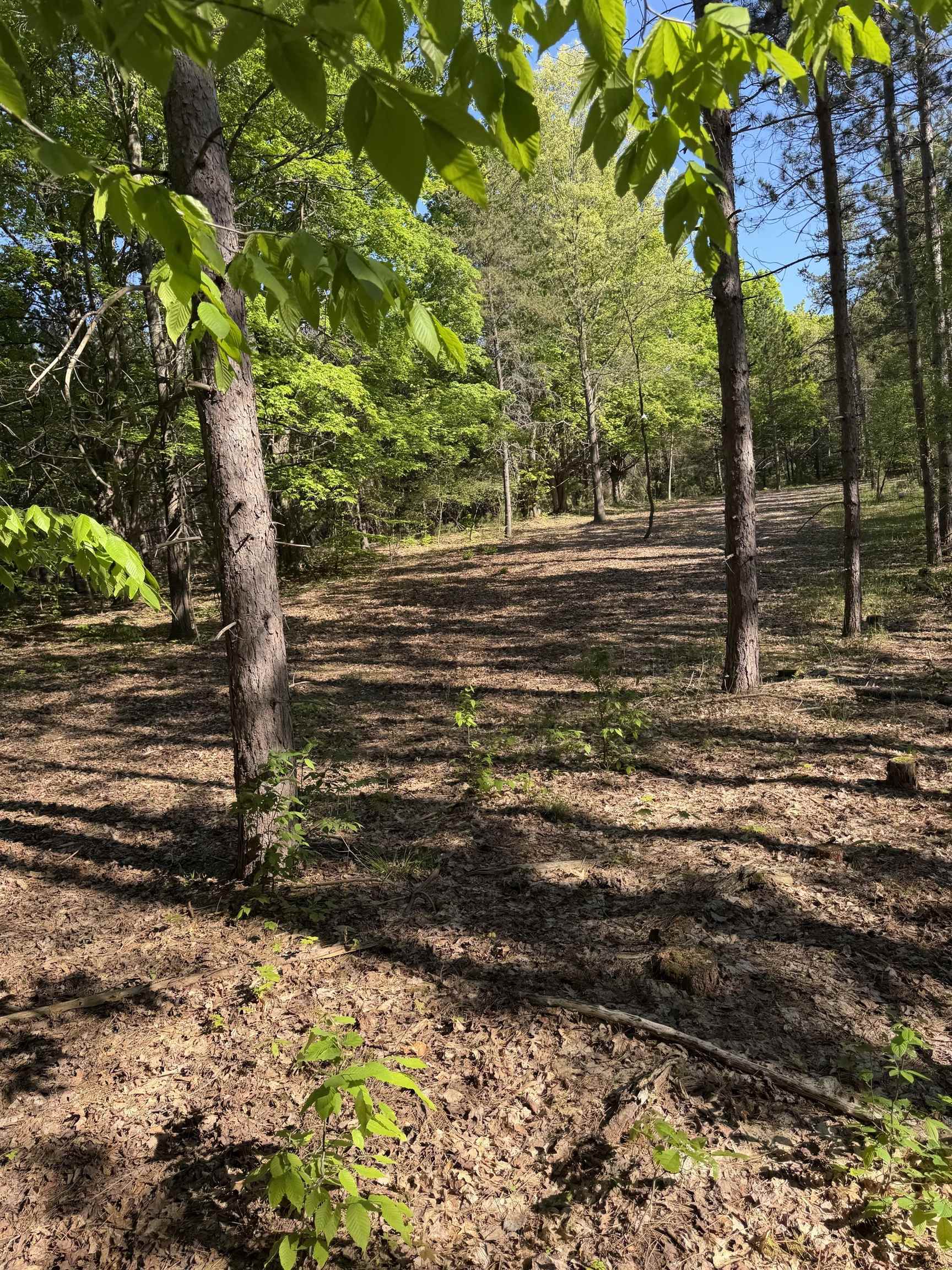 main property photo 13