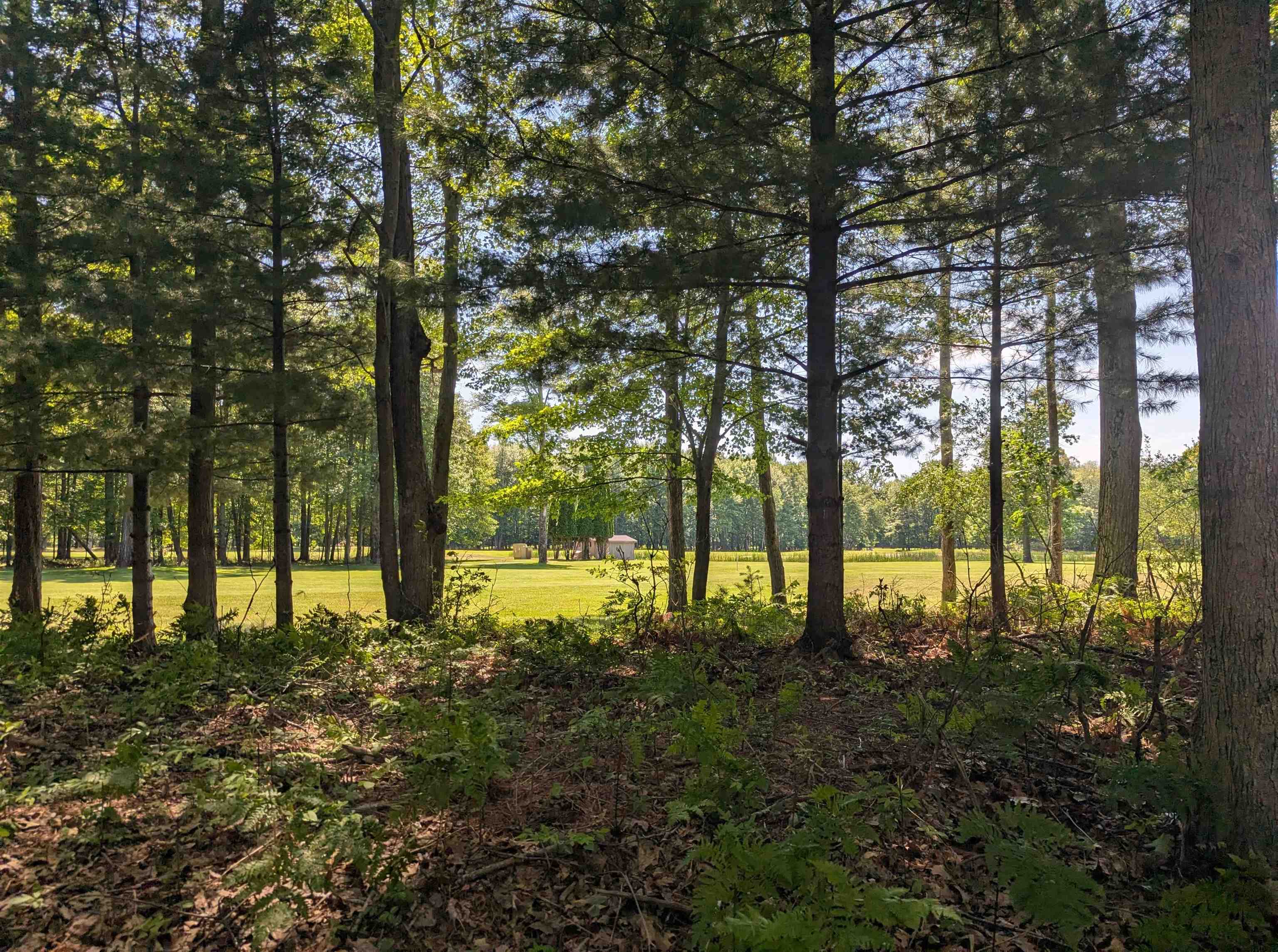 main property photo 49