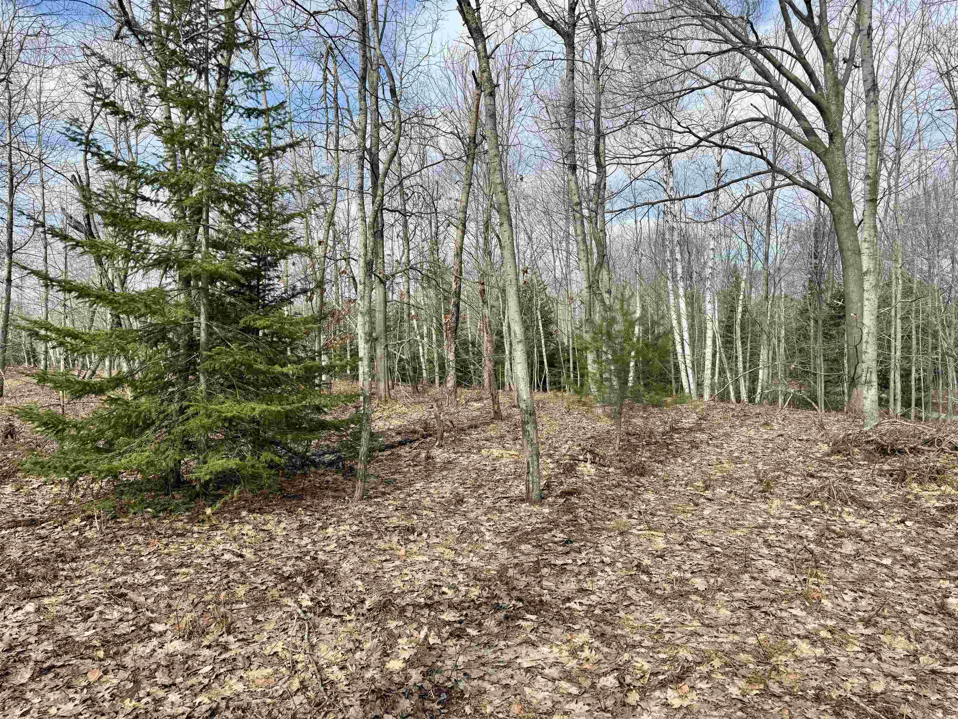 main property photo 10