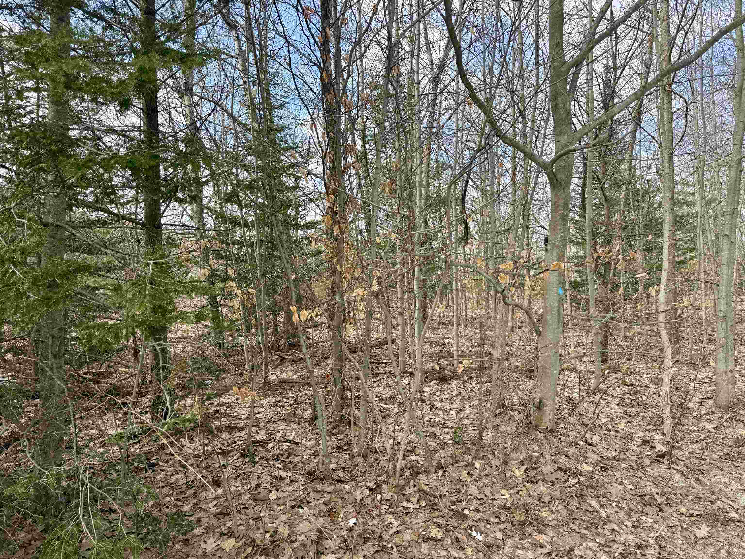 main property photo 16