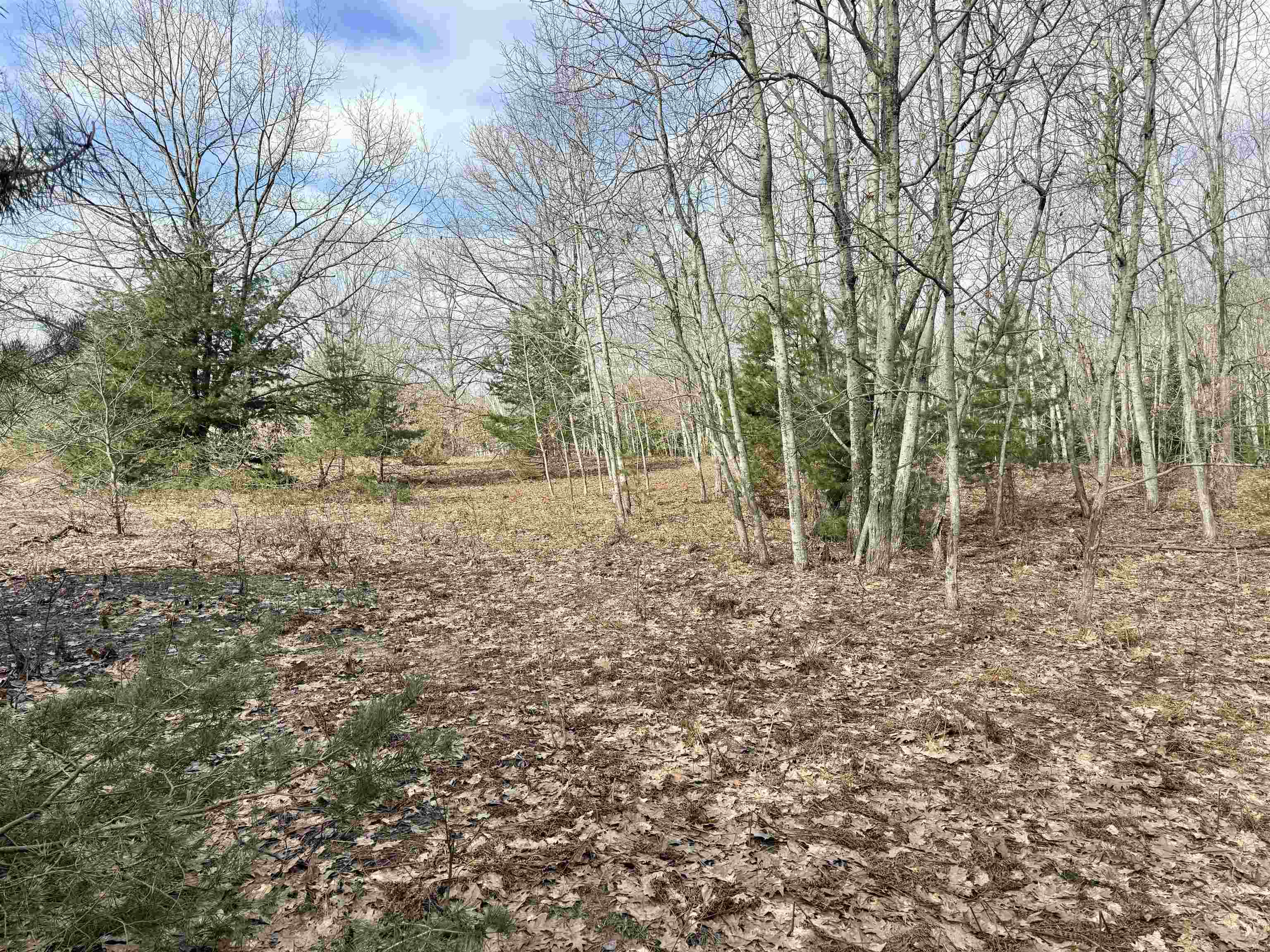 main property photo 17