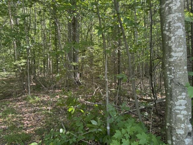 main property photo 10