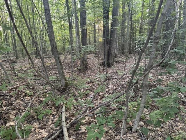 main property photo 32
