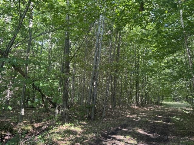main property photo 9