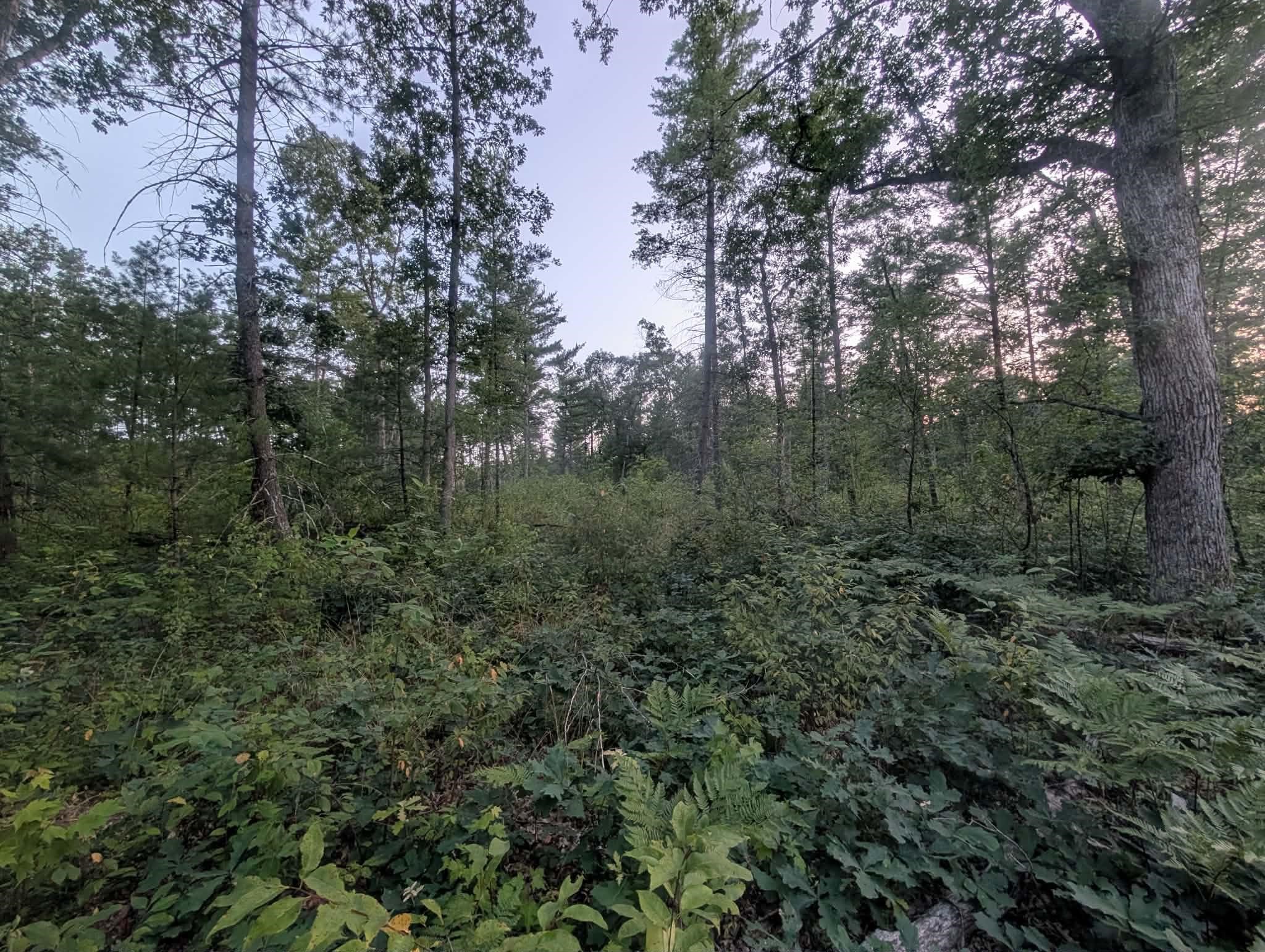 main property photo 10