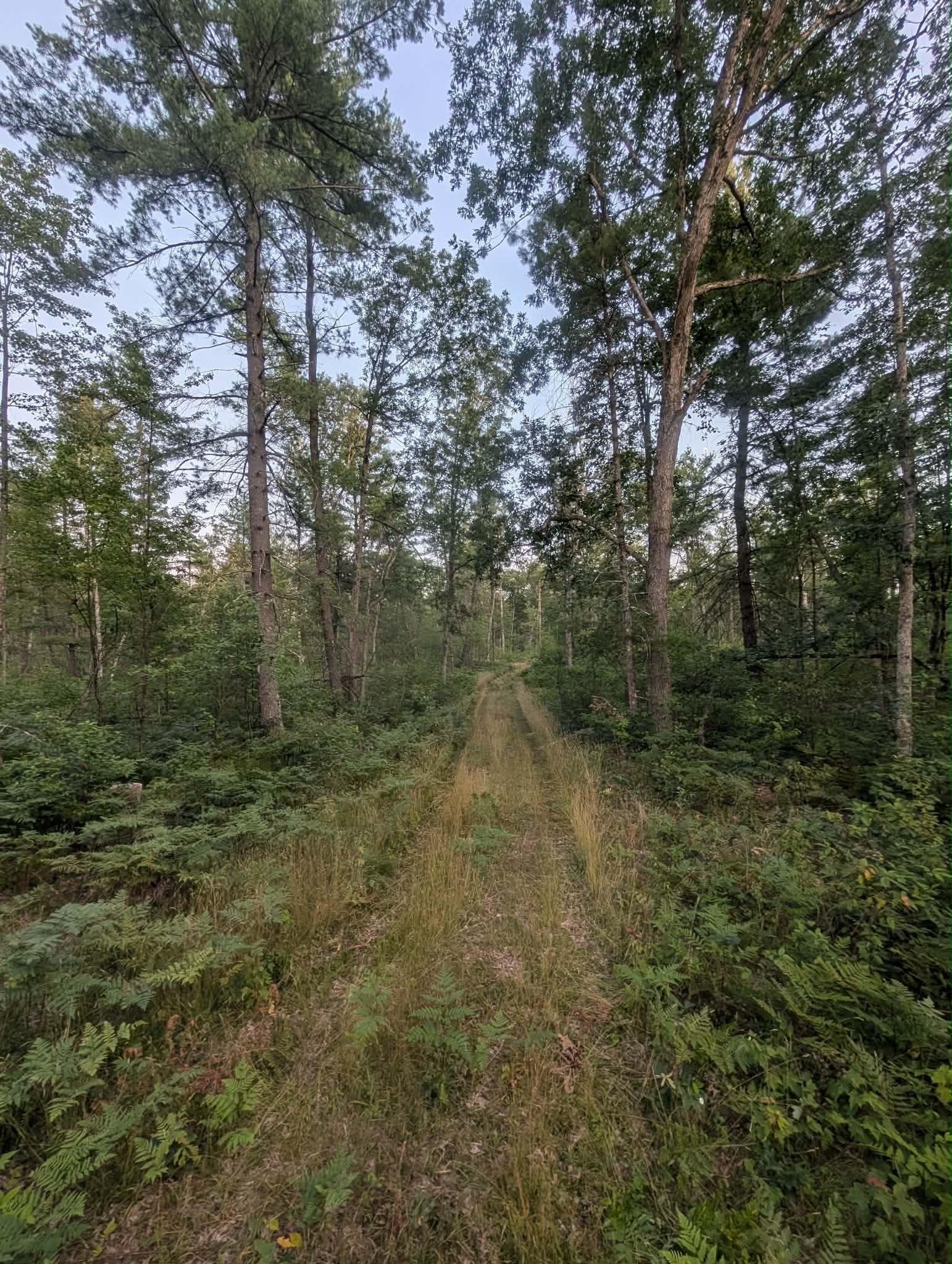 main property photo 11