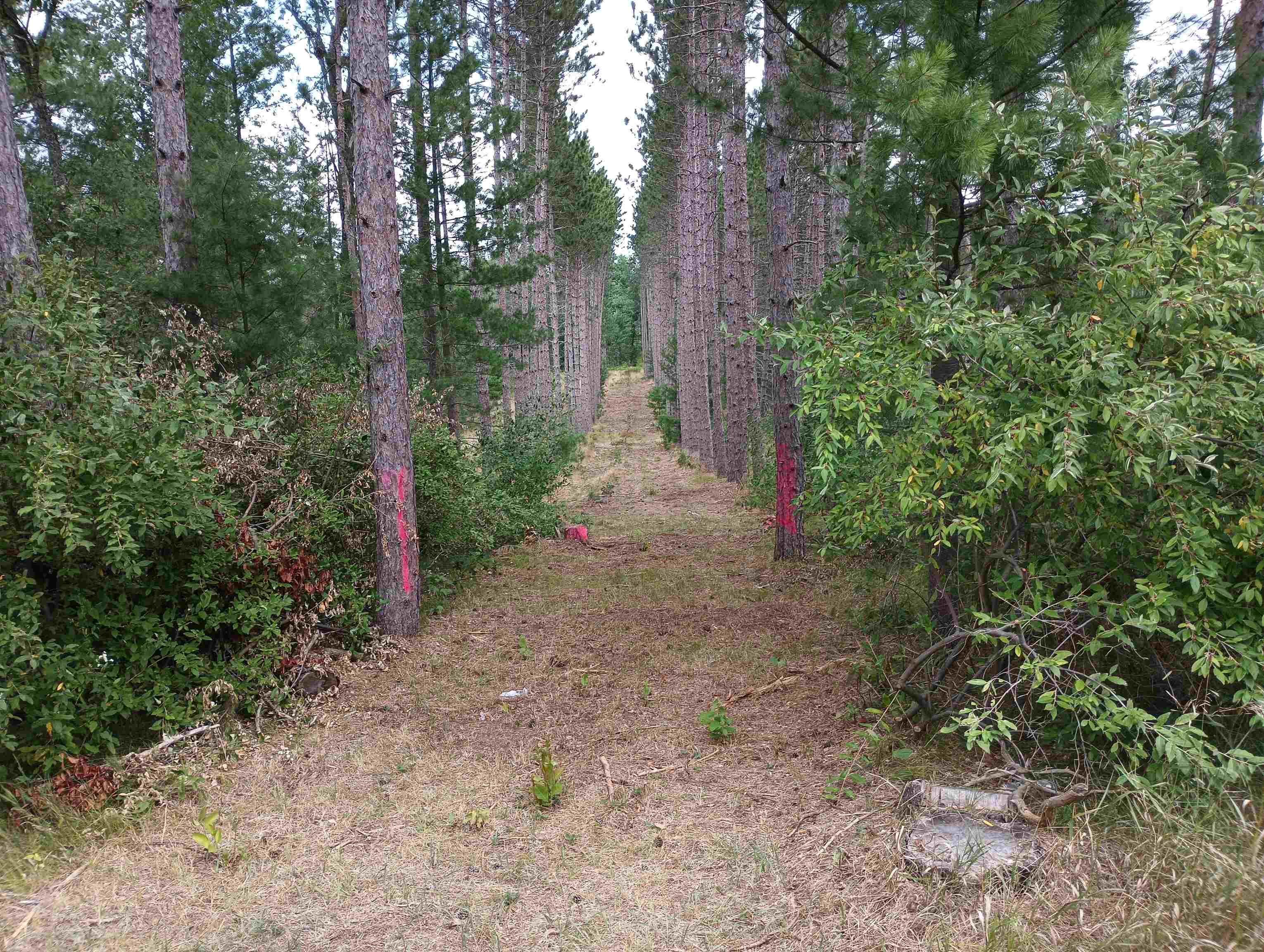 main property photo 12