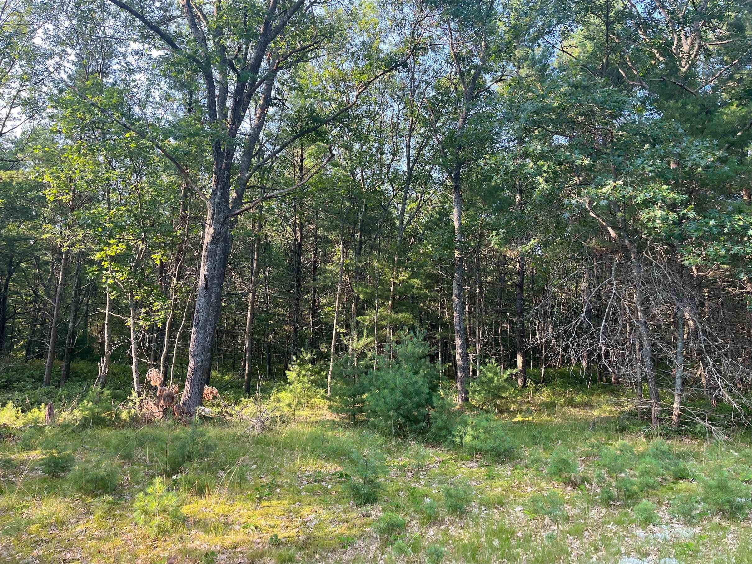 main property photo 0