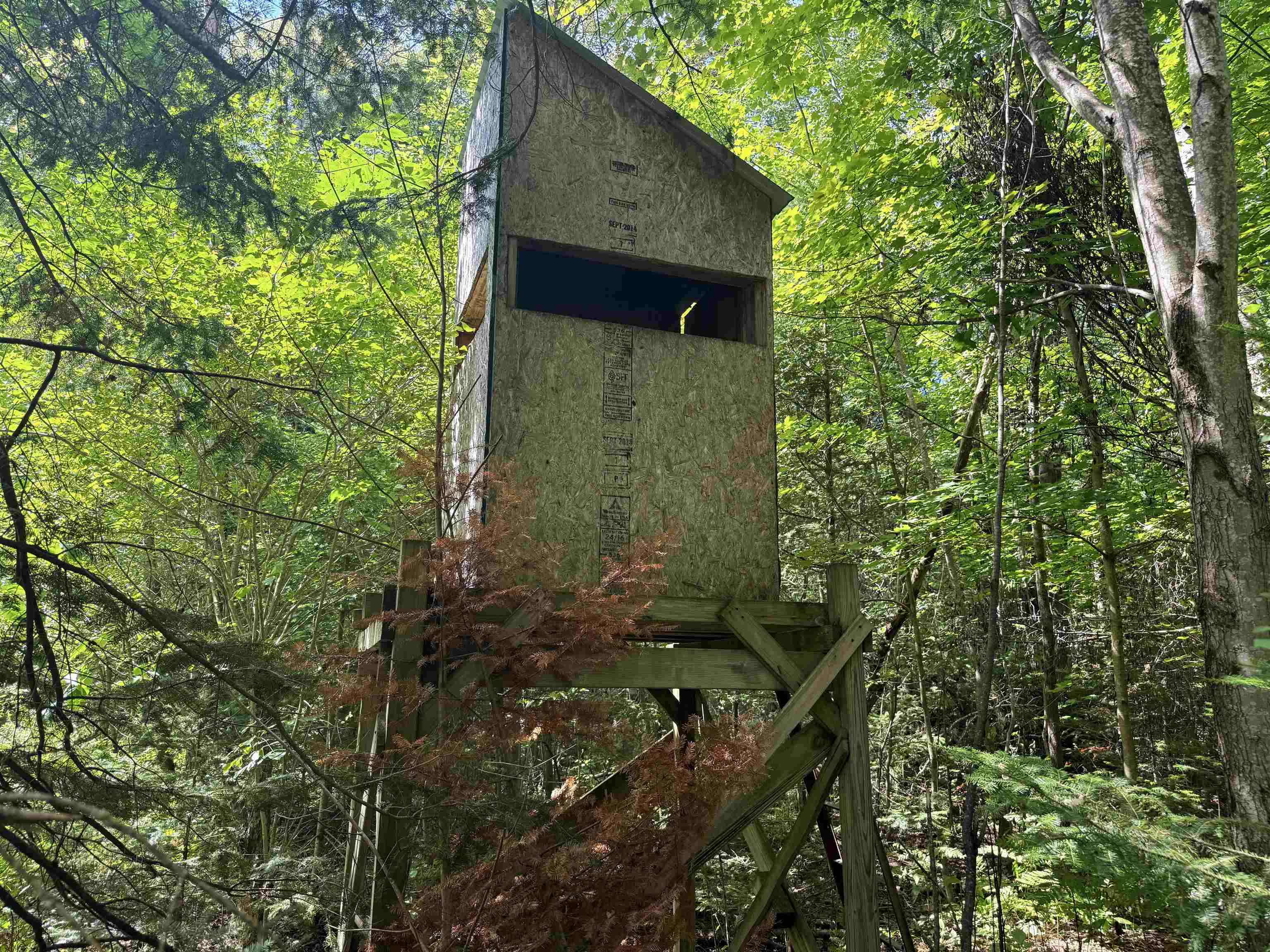 main property photo 33