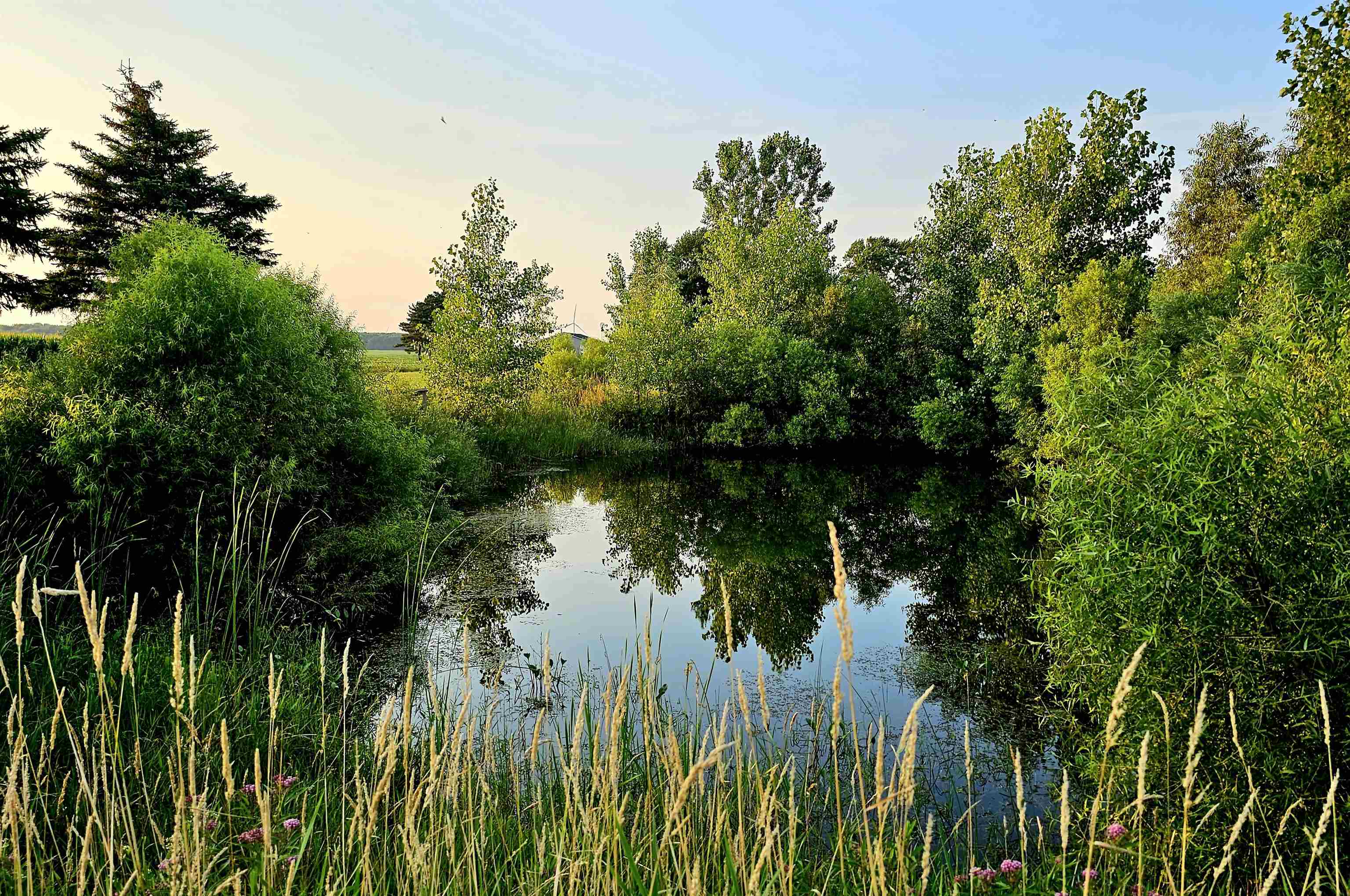 main property photo 26