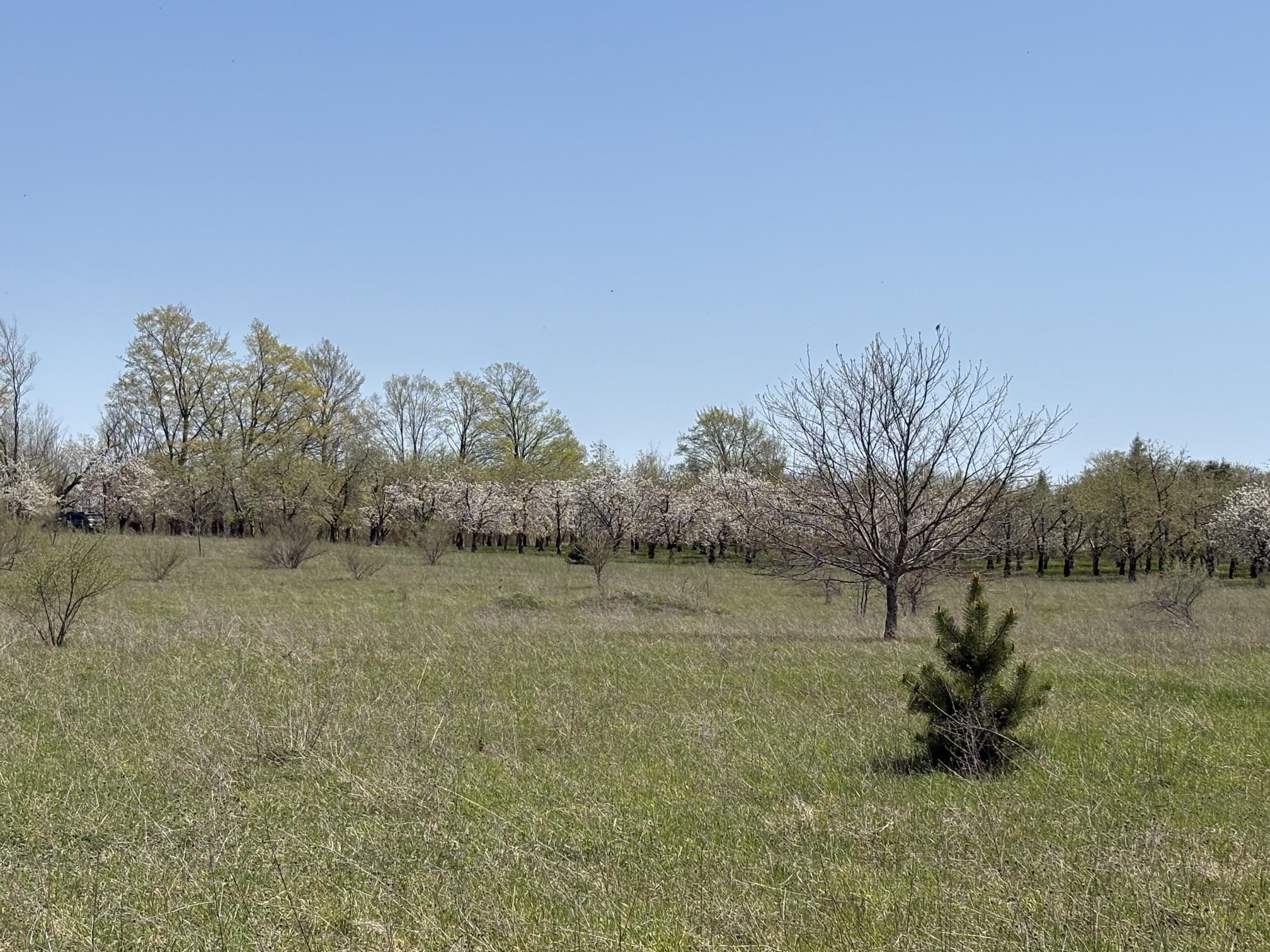 main property photo 55