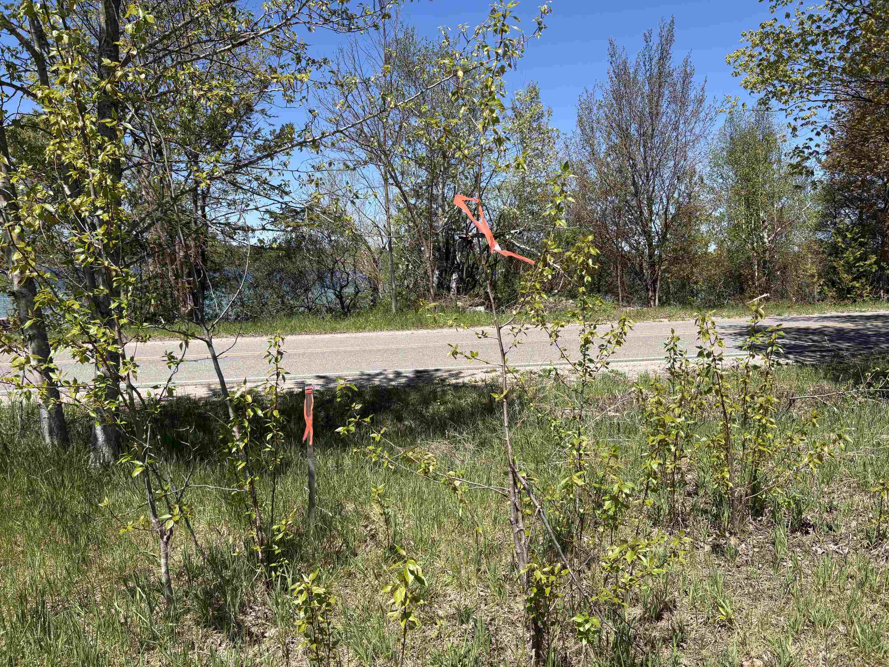main property photo 60