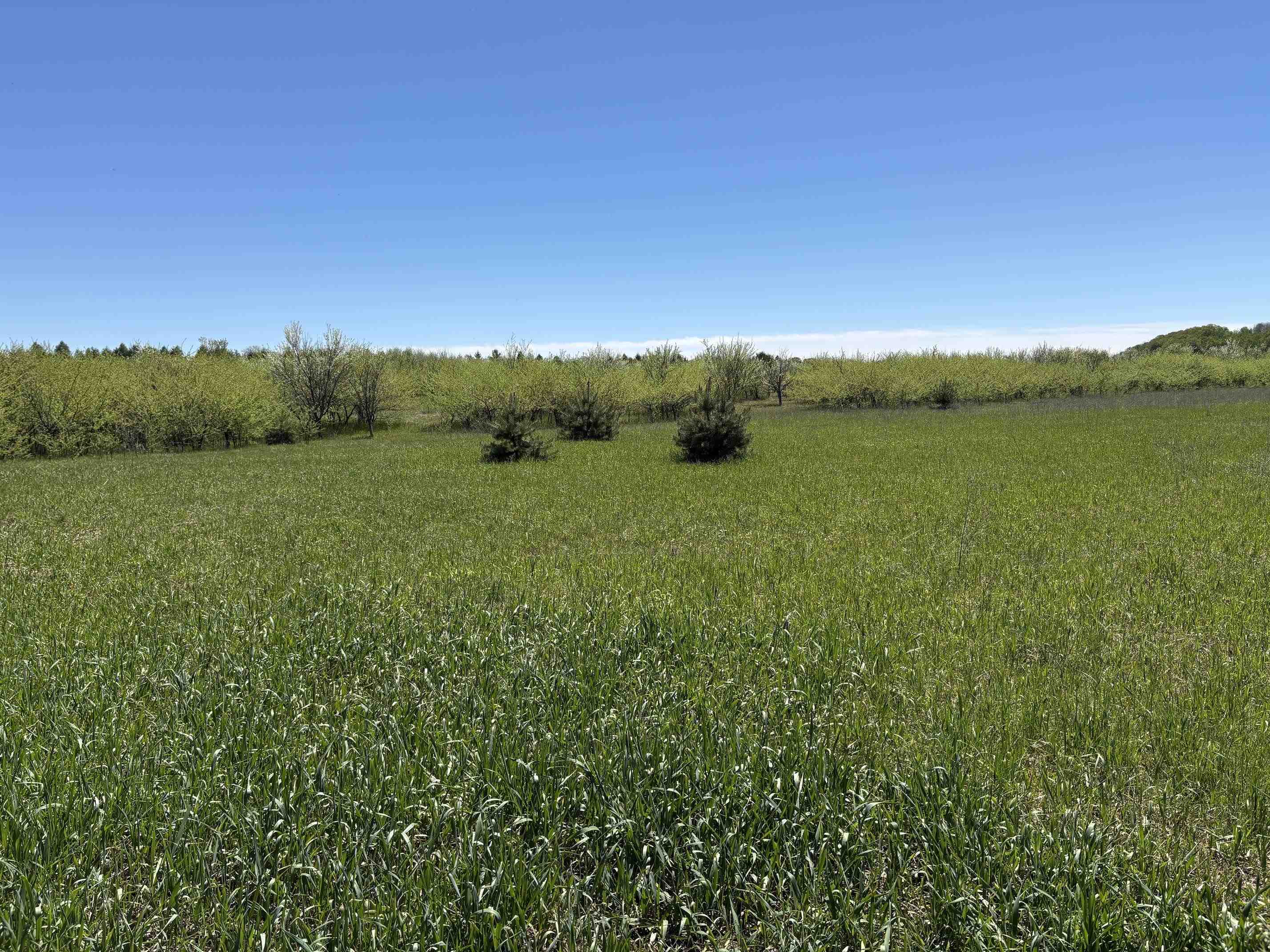 main property photo 64