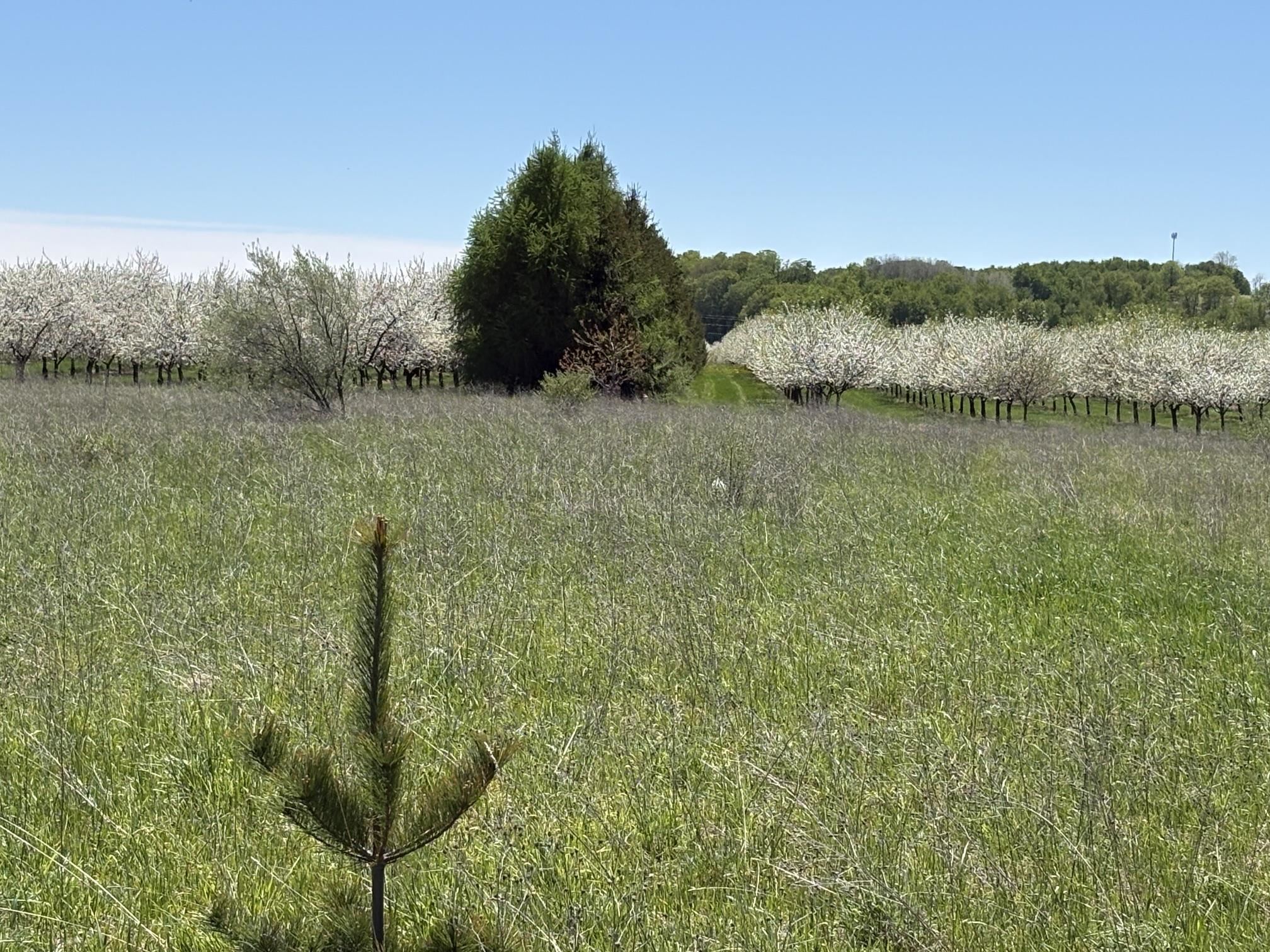 main property photo 67