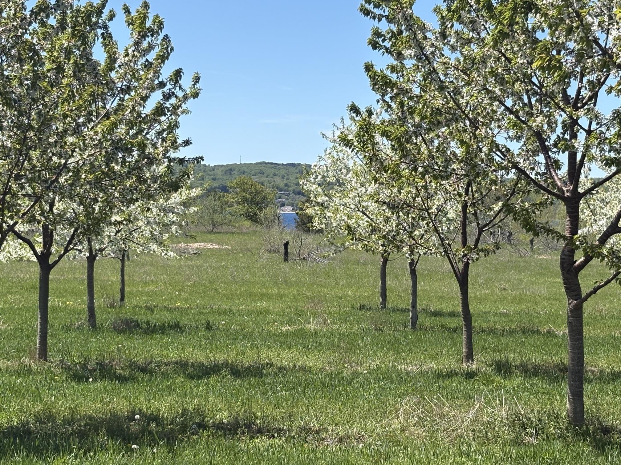 main property photo 69