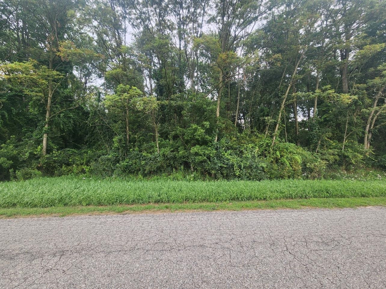 main property photo 0
