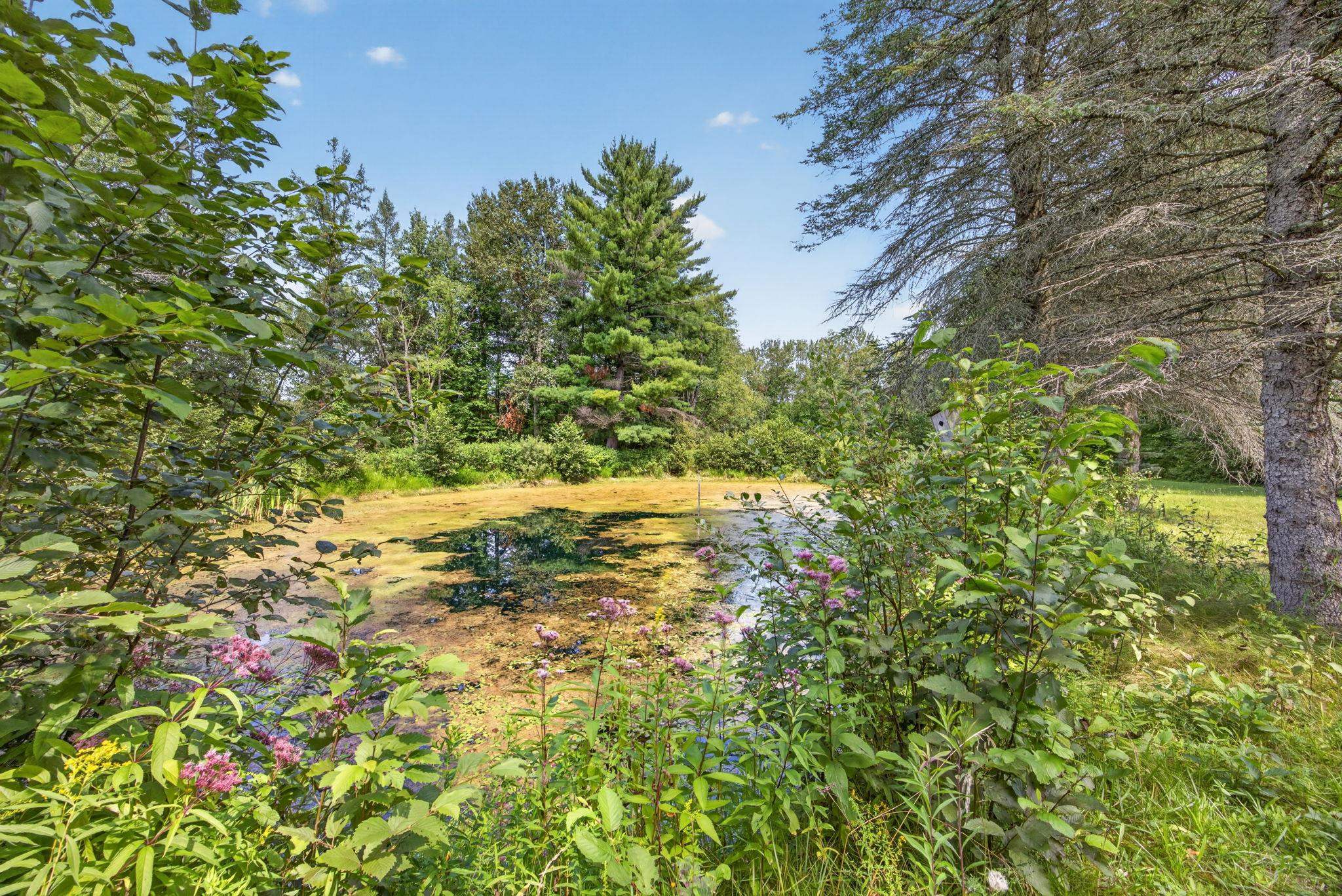 main property photo 51