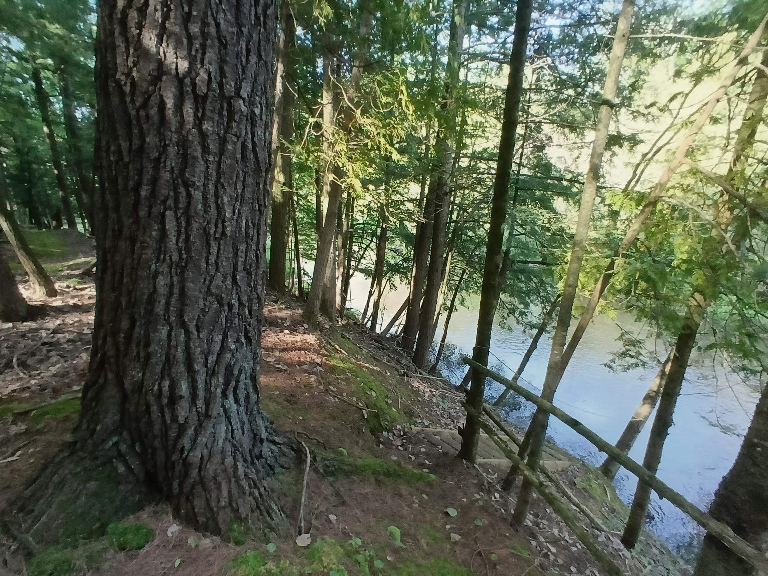 main property photo 11