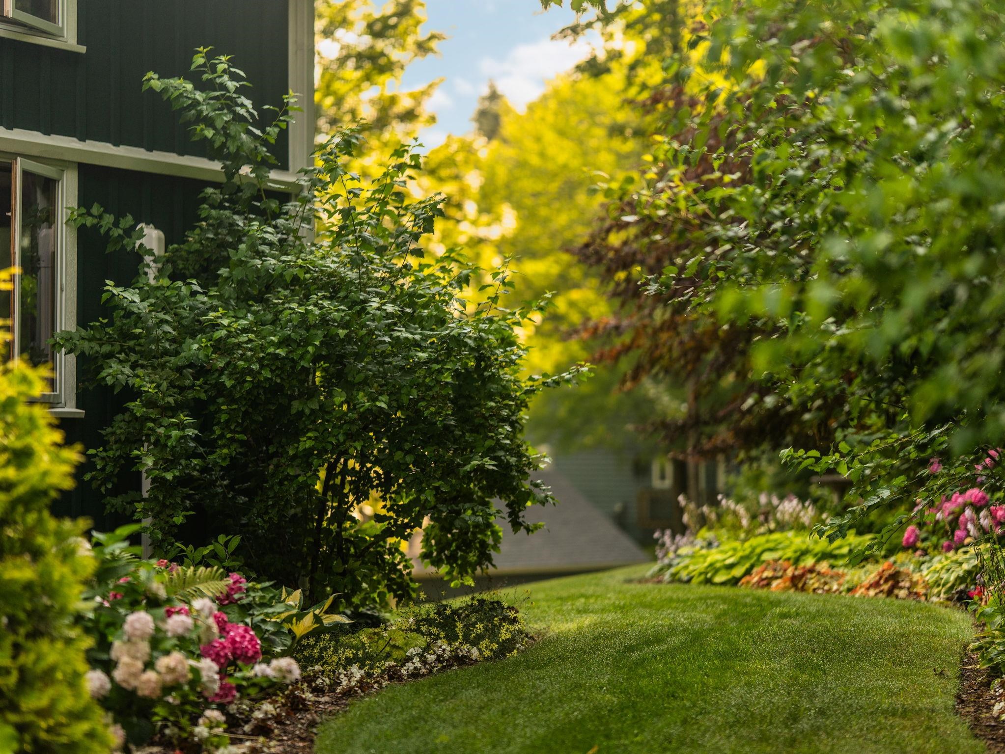 main property photo 65