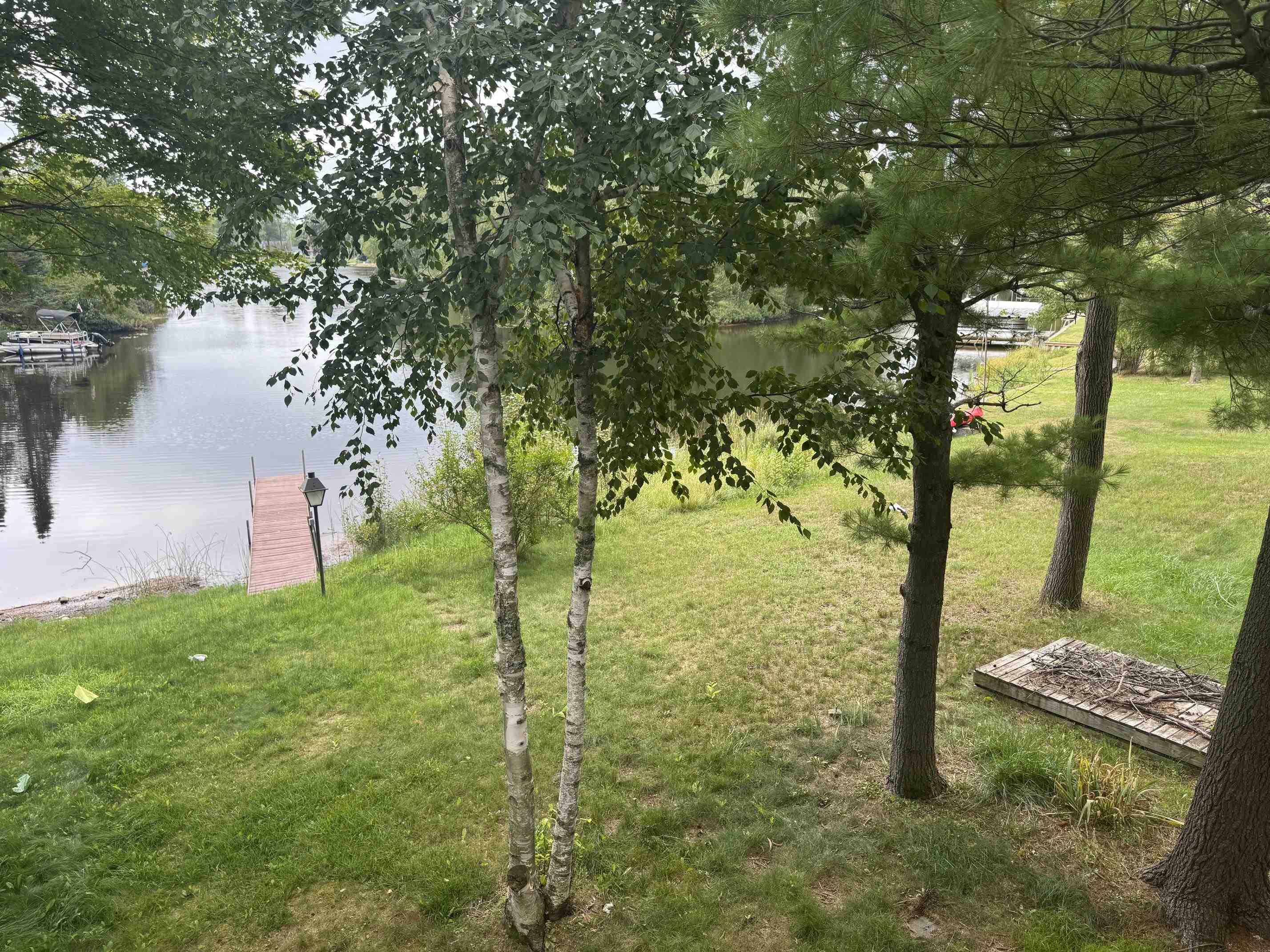 main property photo 54