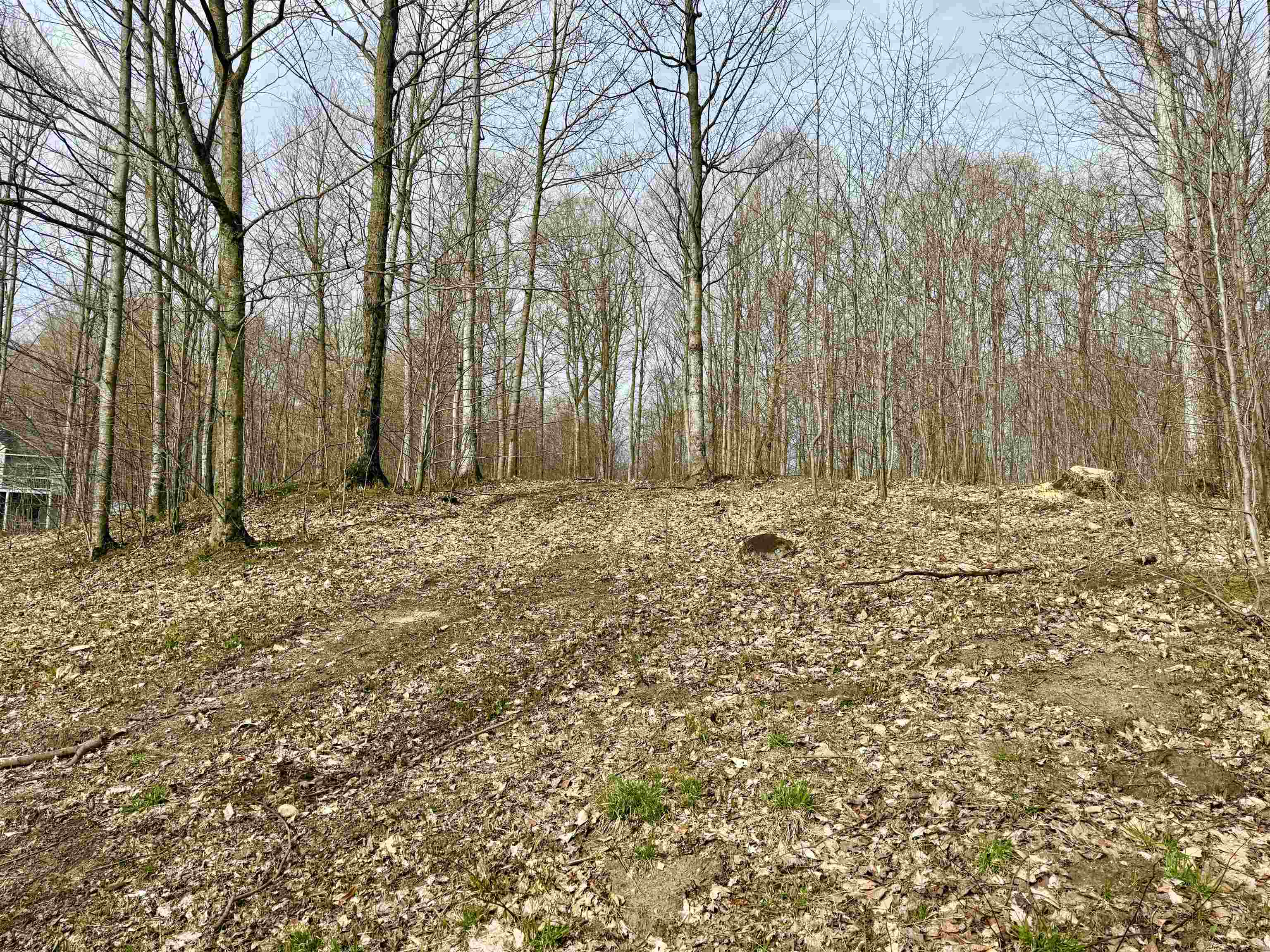main property photo 12