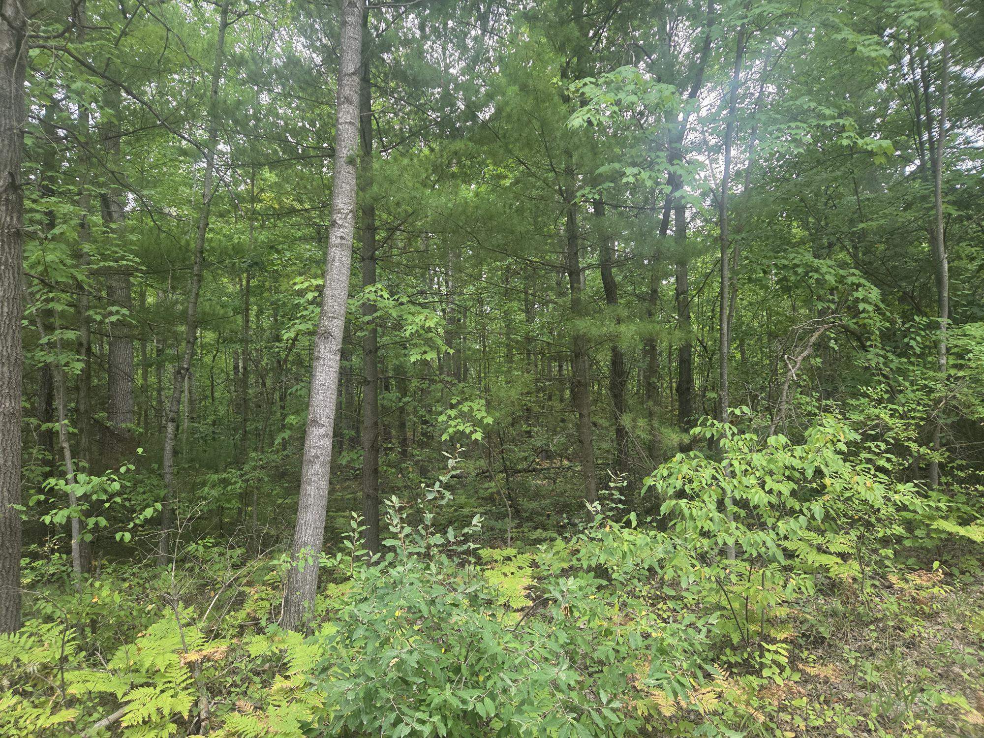 main property photo 0