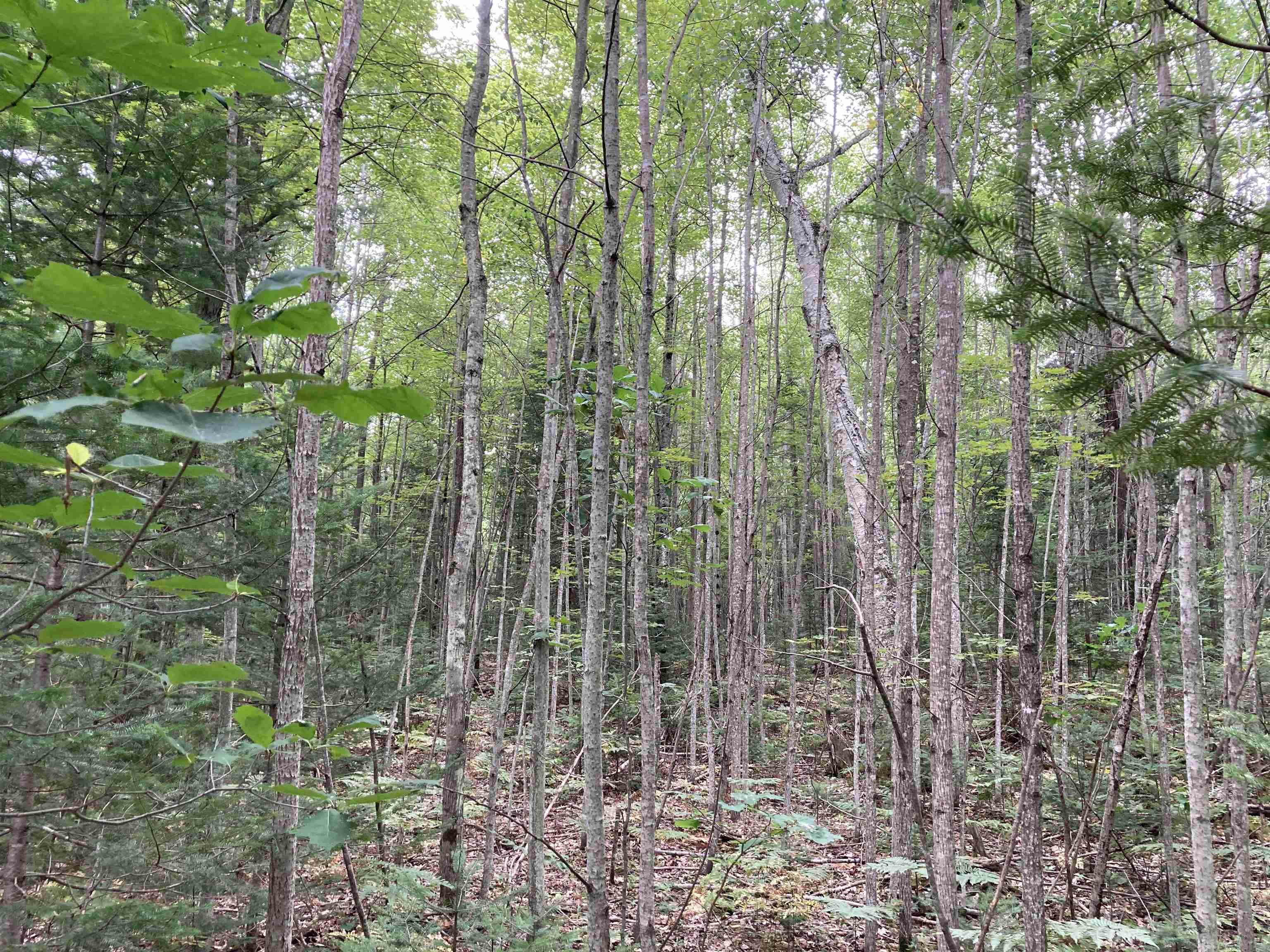 main property photo 11