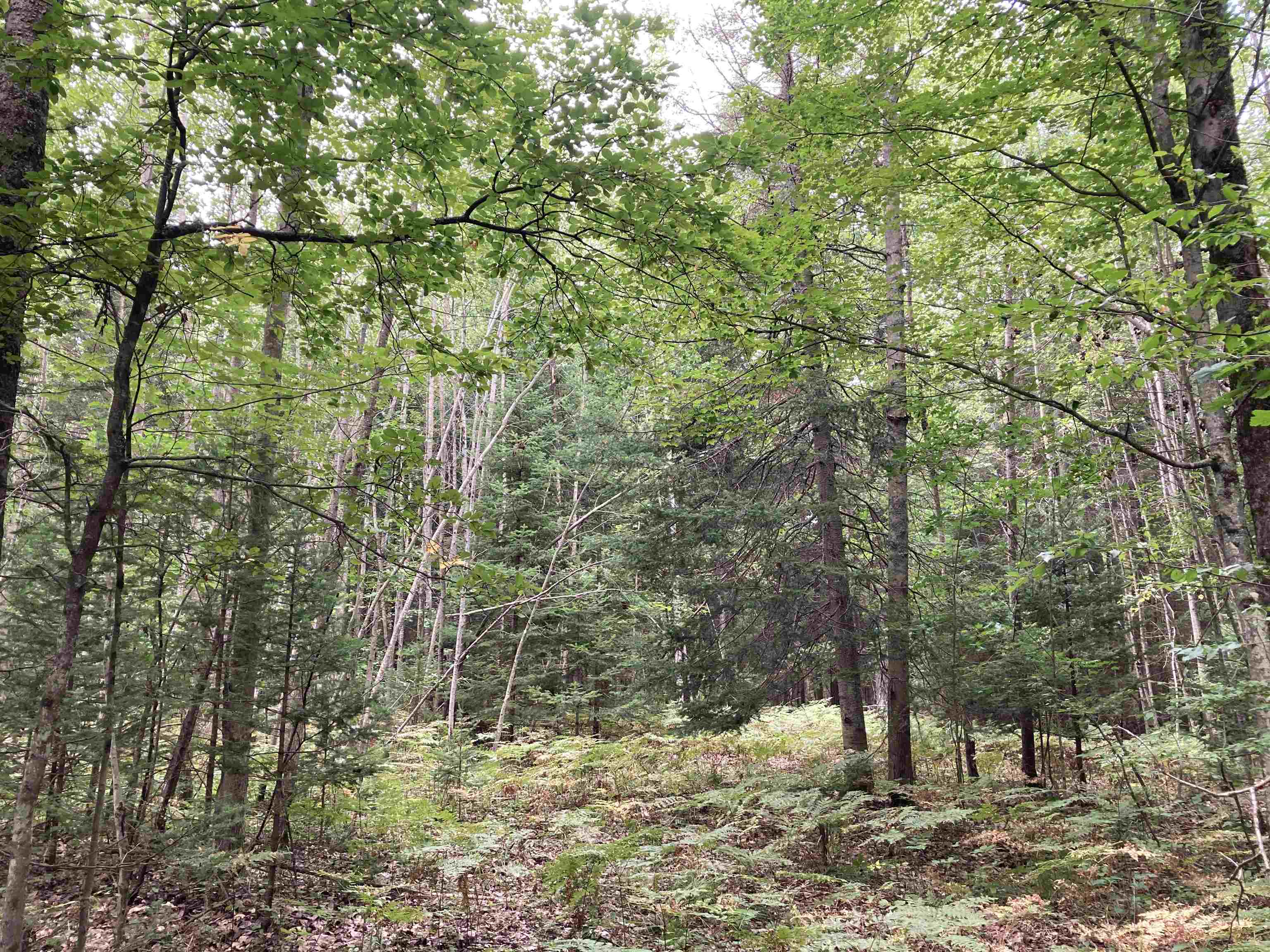 main property photo 19