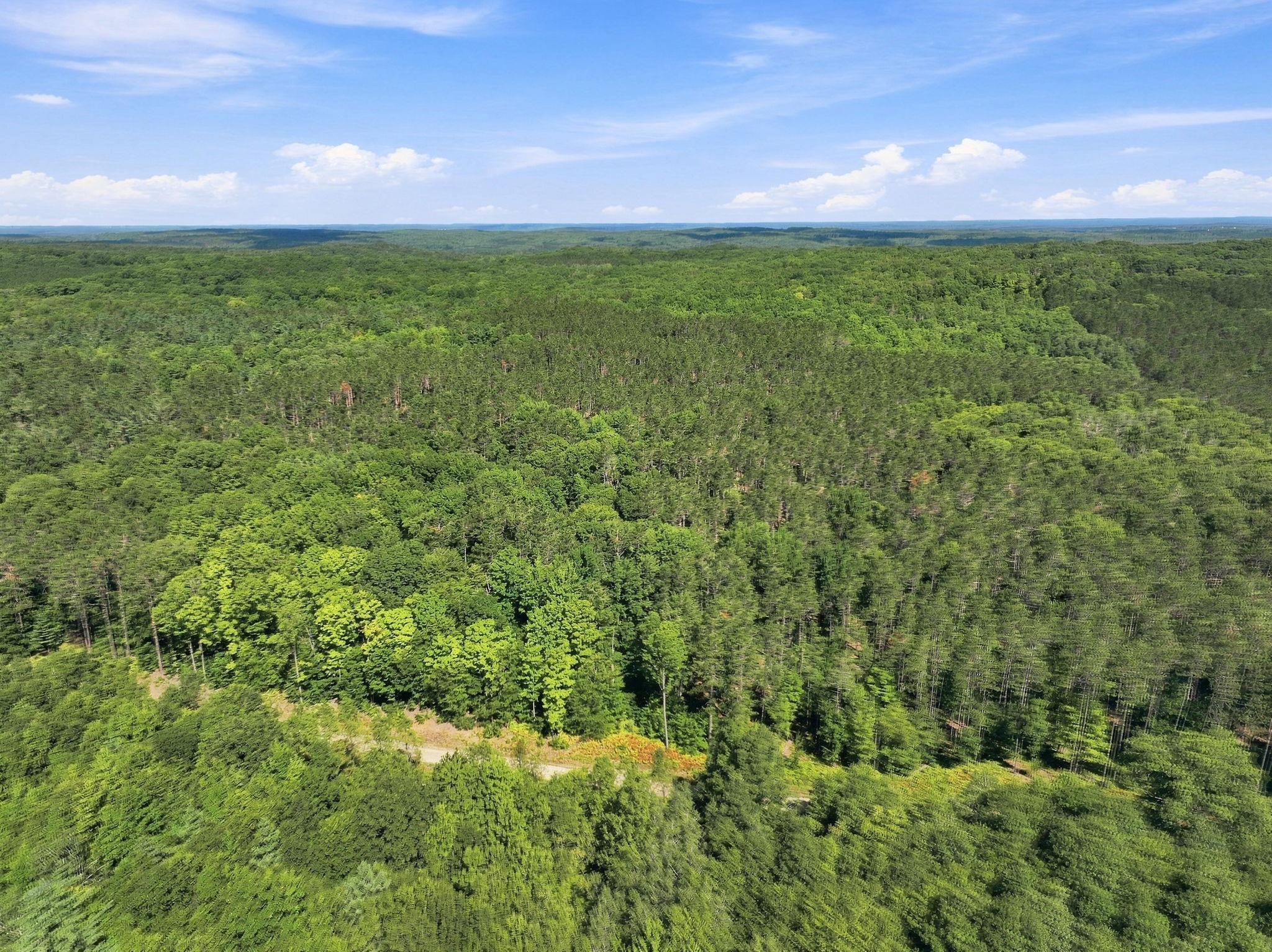 main property photo 69