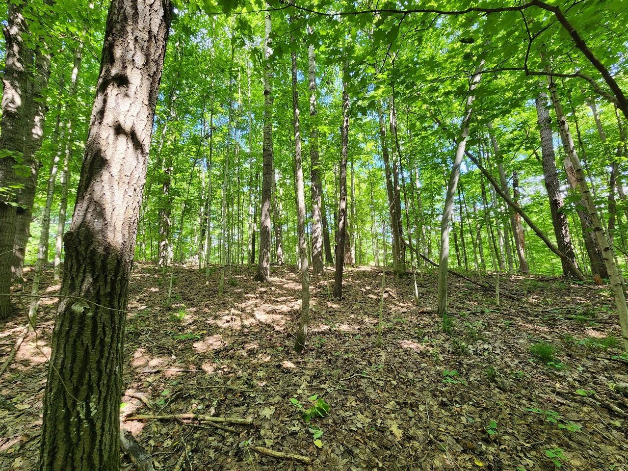 main property photo 10