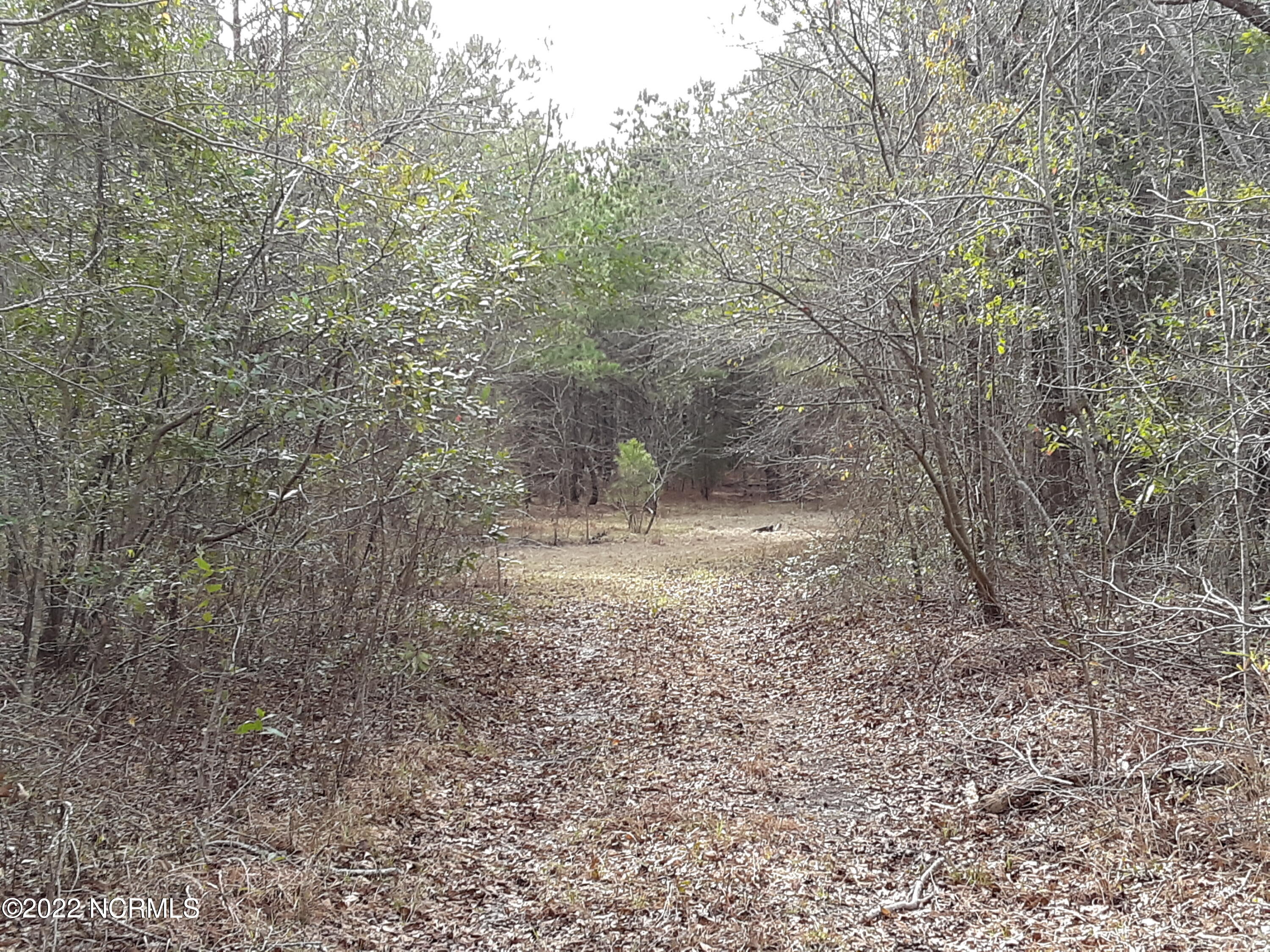main property photo 6