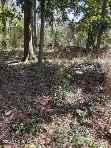 main property photo 6
