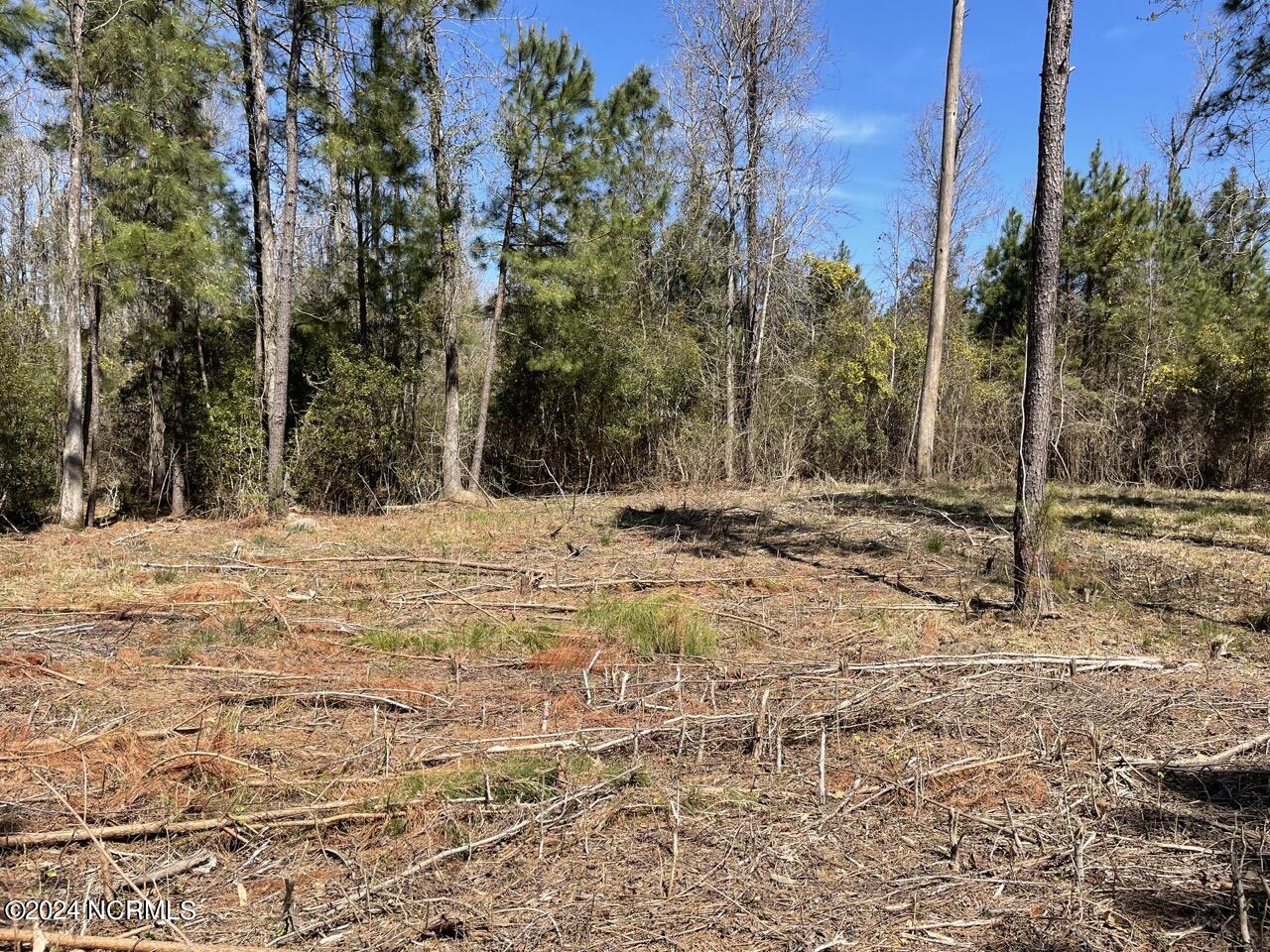 main property photo 8