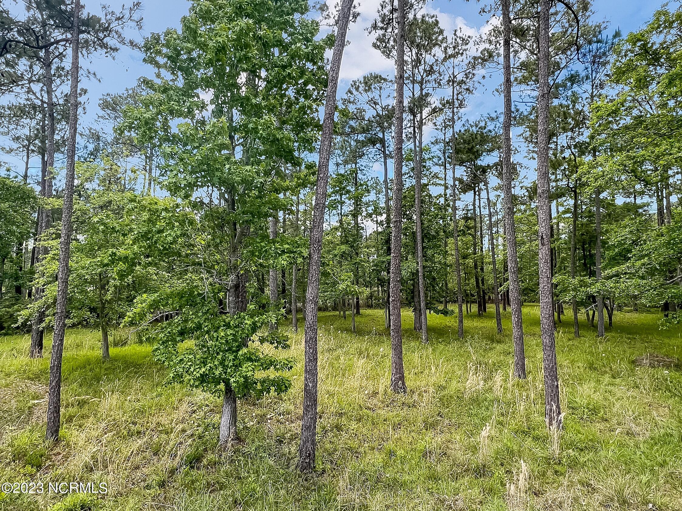 main property photo 10