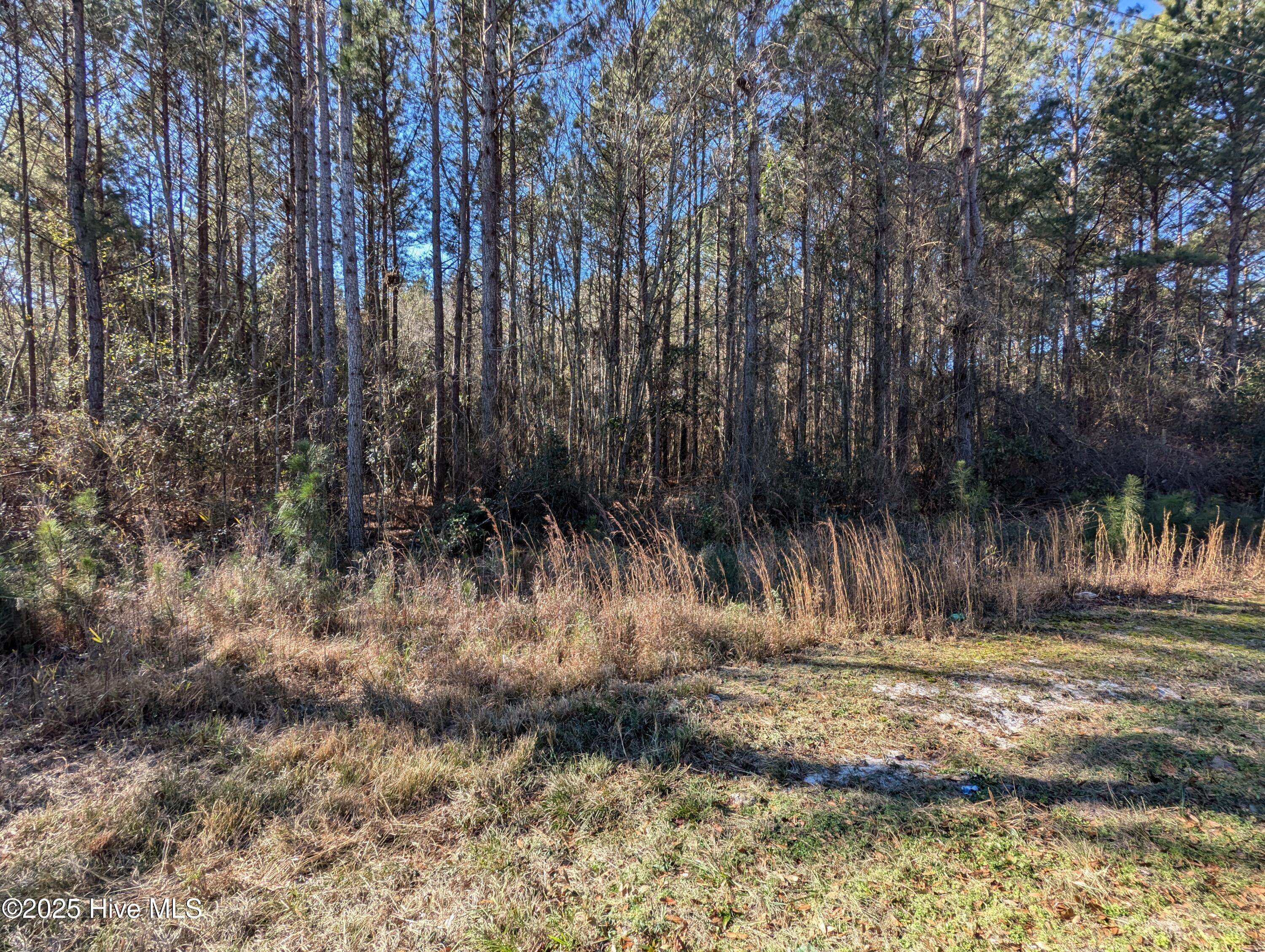 main property photo 11