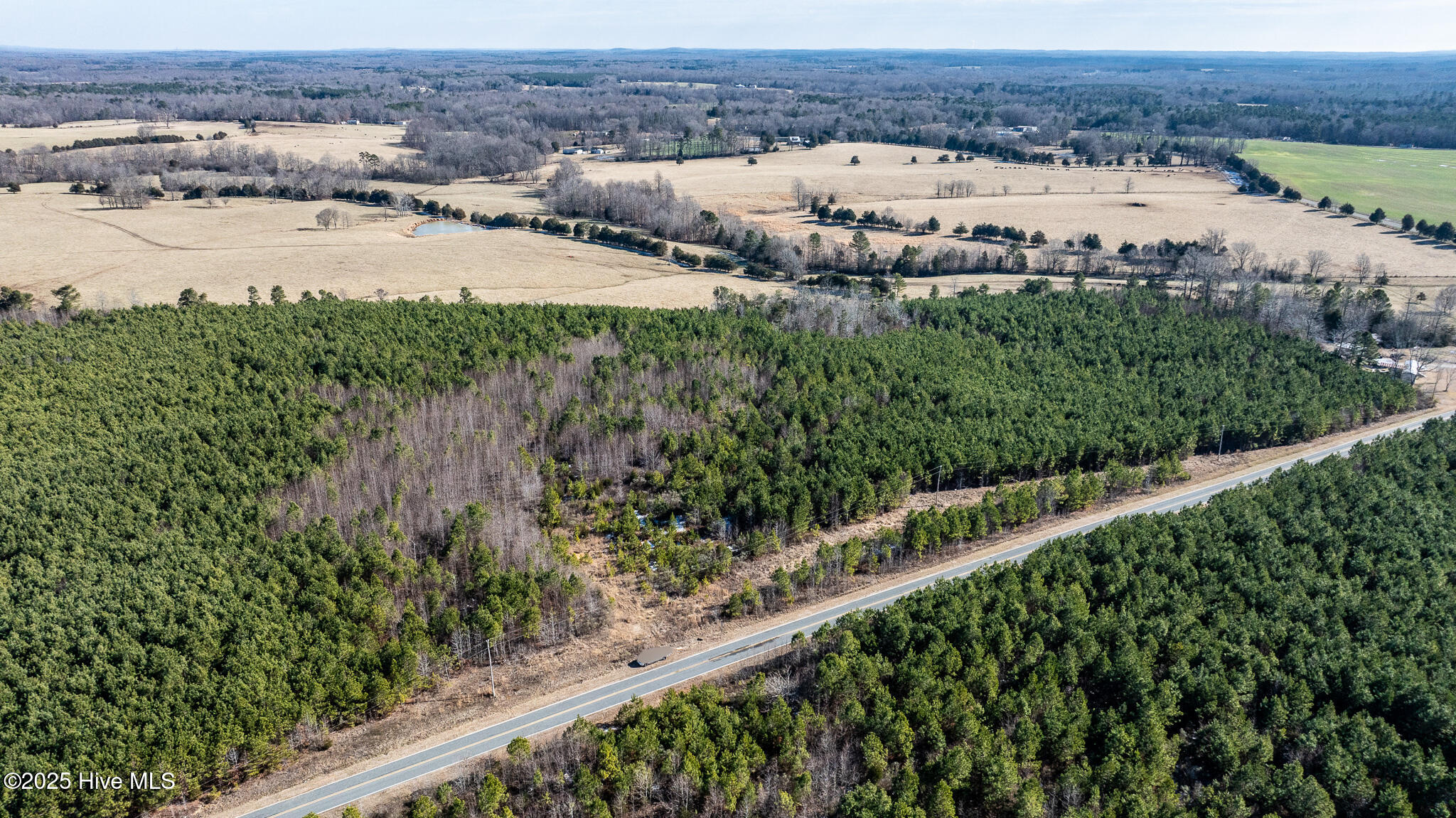 main property photo 41