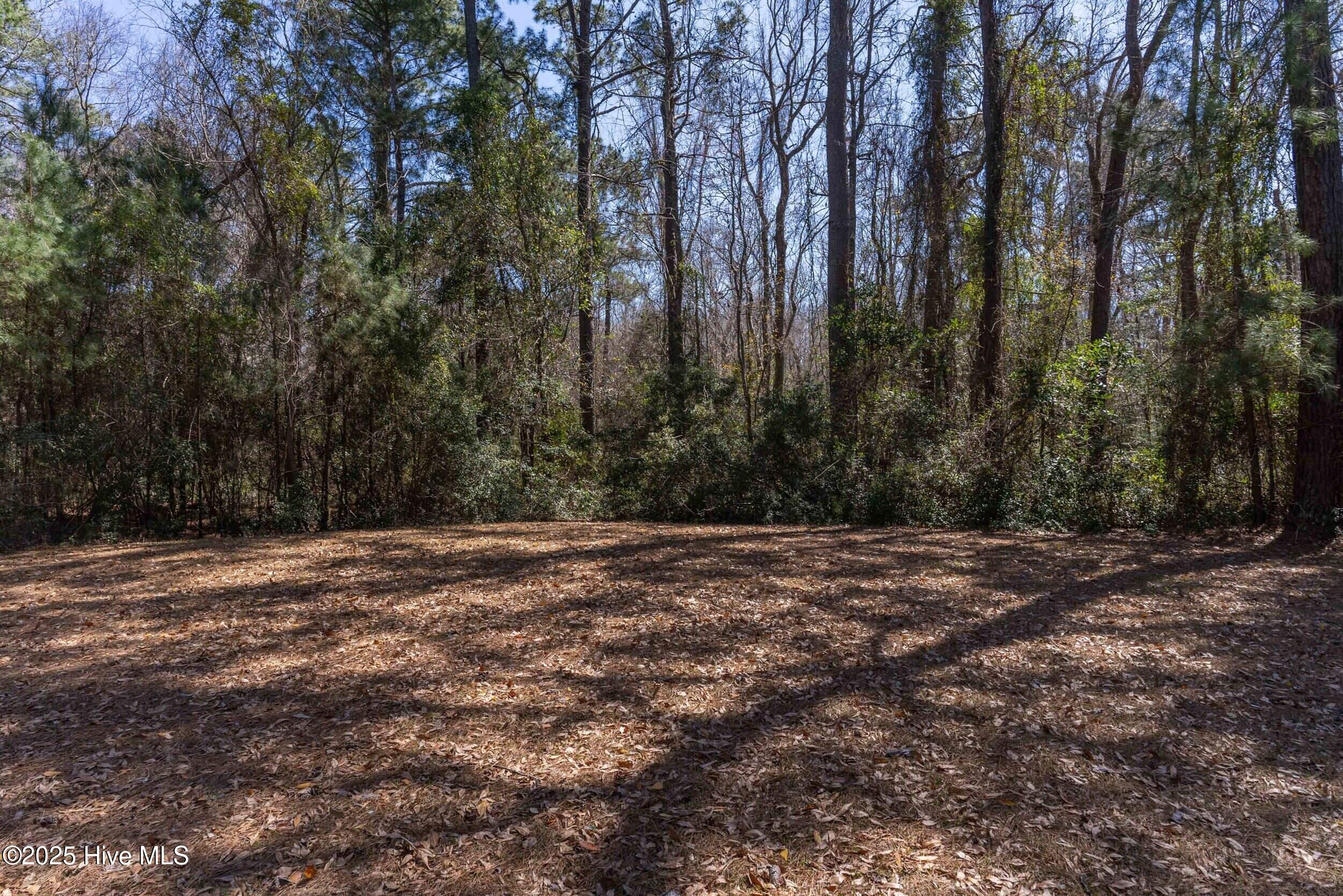 main property photo 17