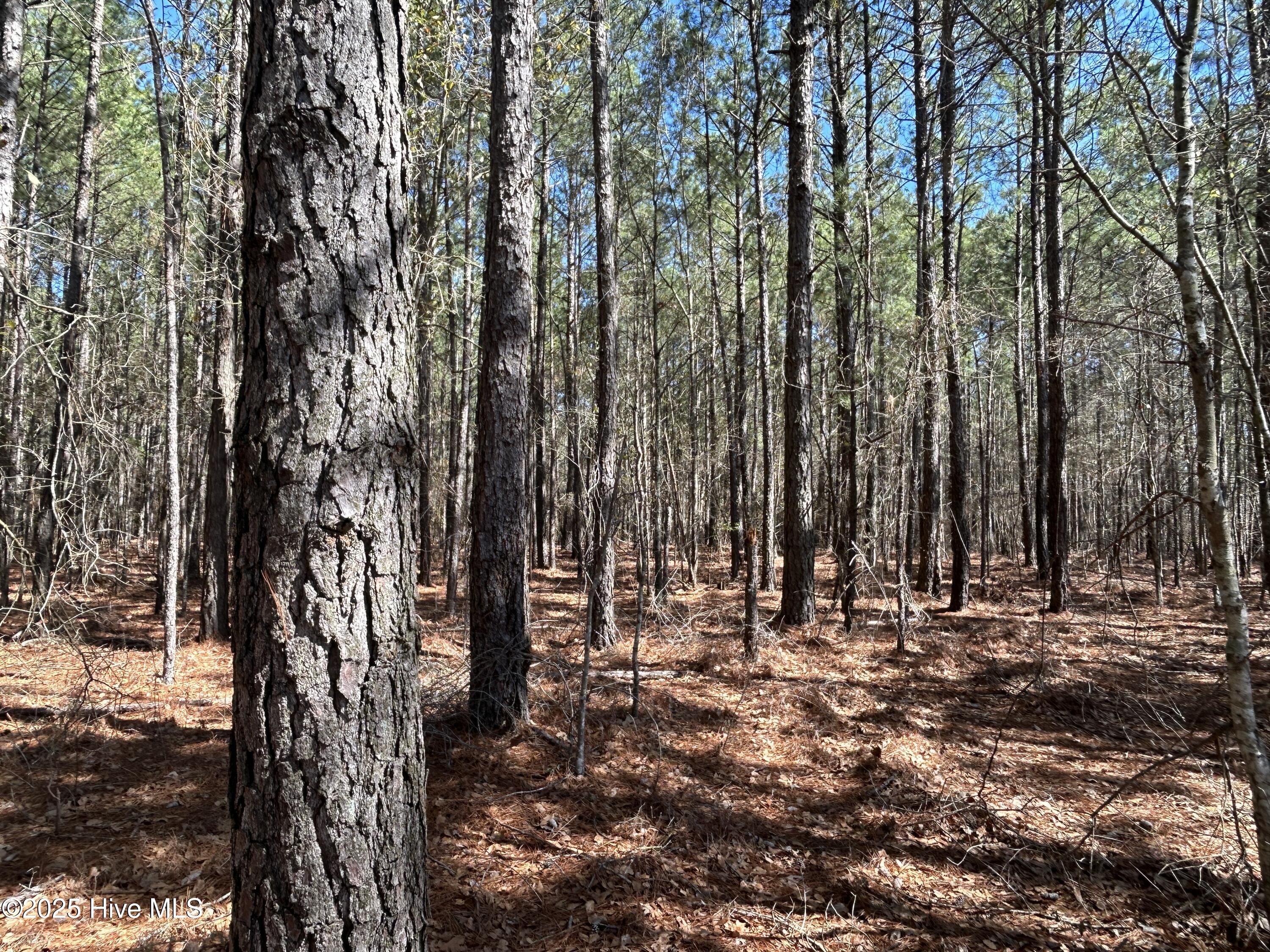 main property photo 19