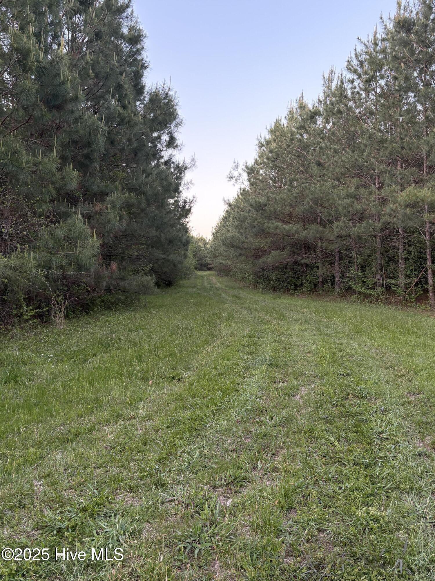 main property photo 48