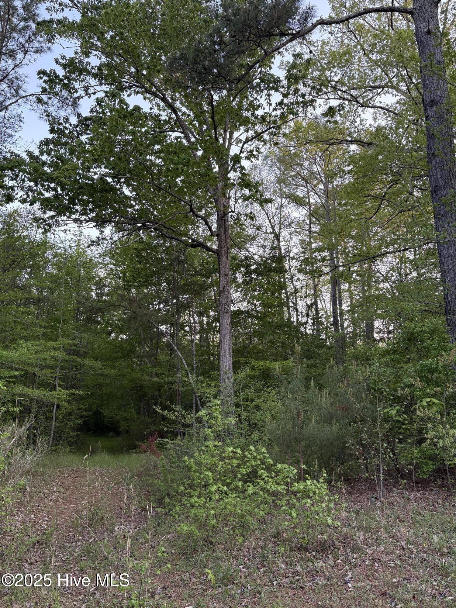 main property photo 52
