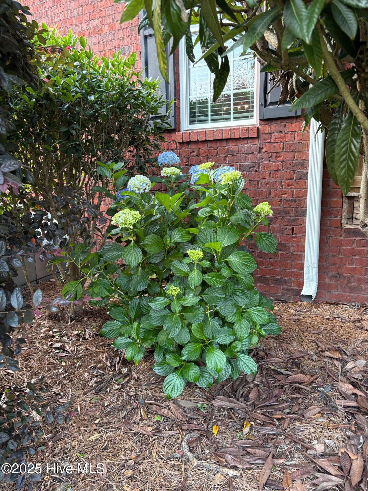 main property photo 51