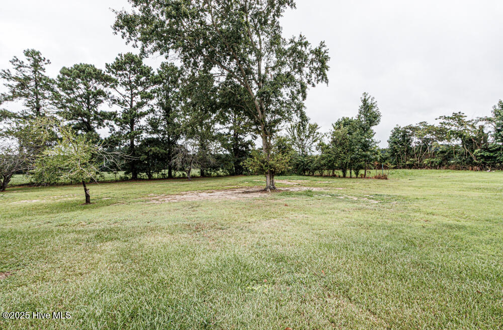 property viewer photo 3